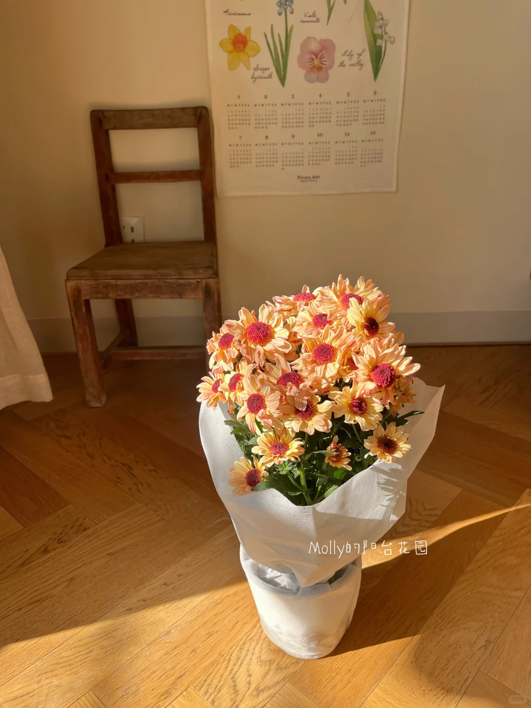 开箱了两盆让我快乐一整天的花花✌️