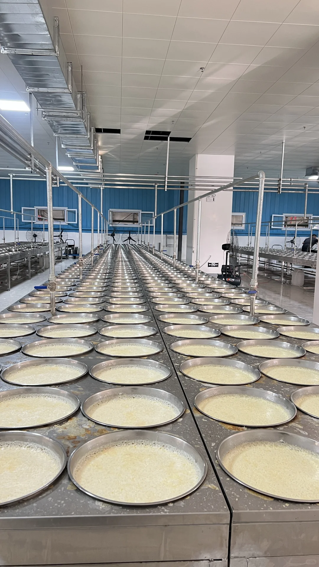 奶皮子的天花板级源头工厂！