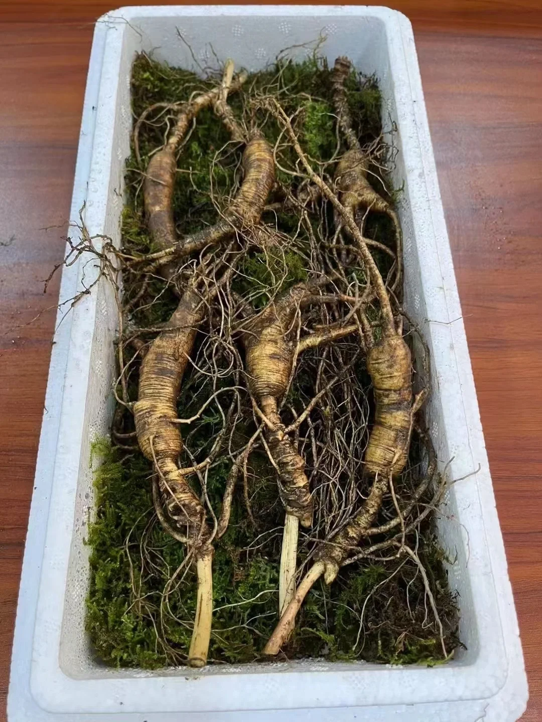 精品林下籽小货，年头高，品相好