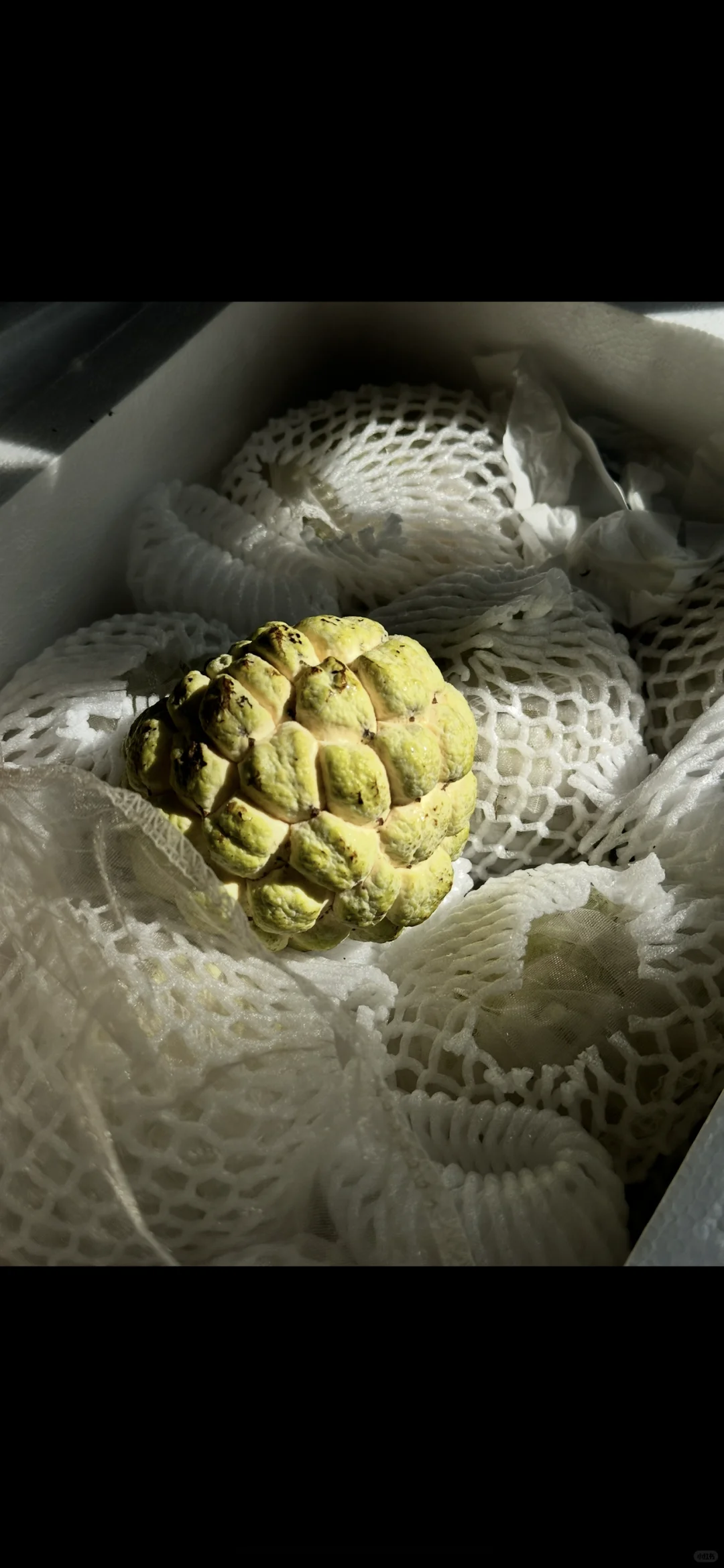 大理|你吃过林禽吗