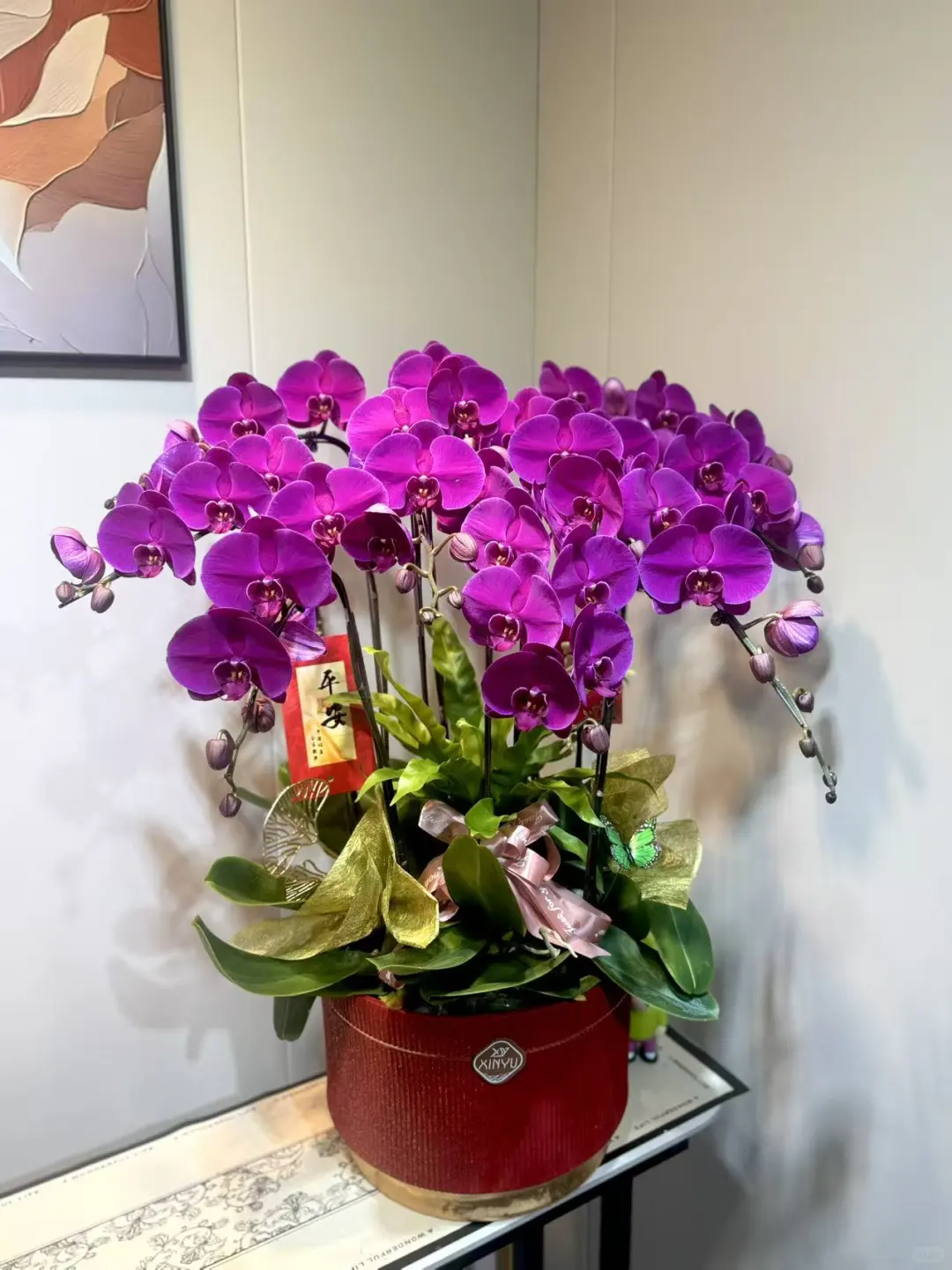 绿植养护、绿植批发、绿植造景、绿植租赁