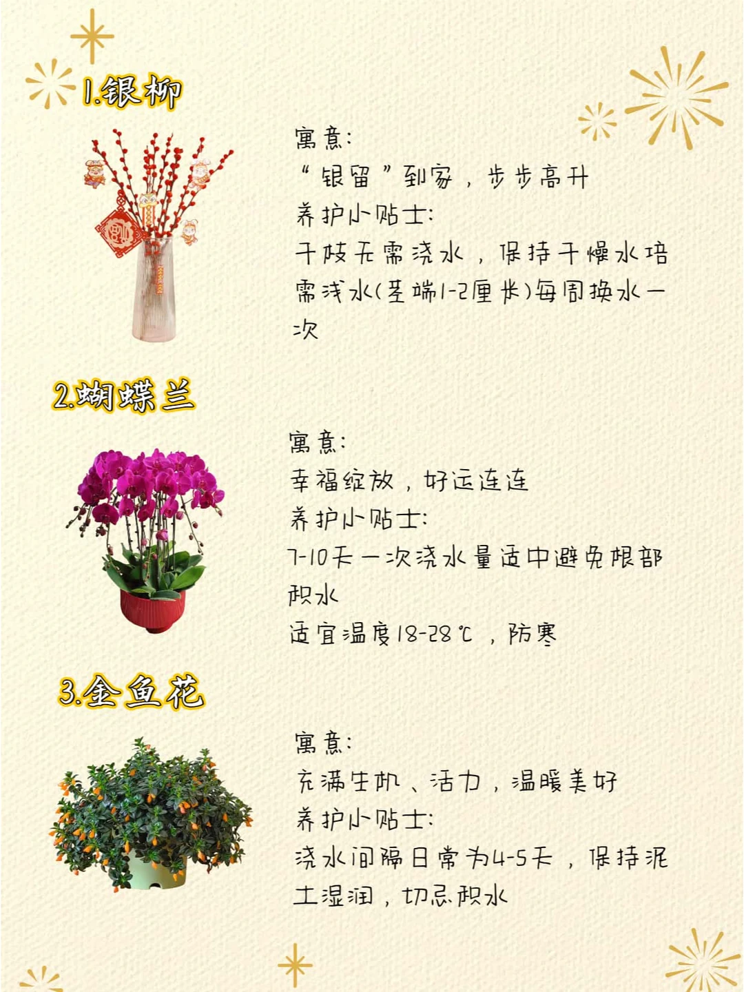 ?️12款高颜值寓意好的年宵花推荐⭕️