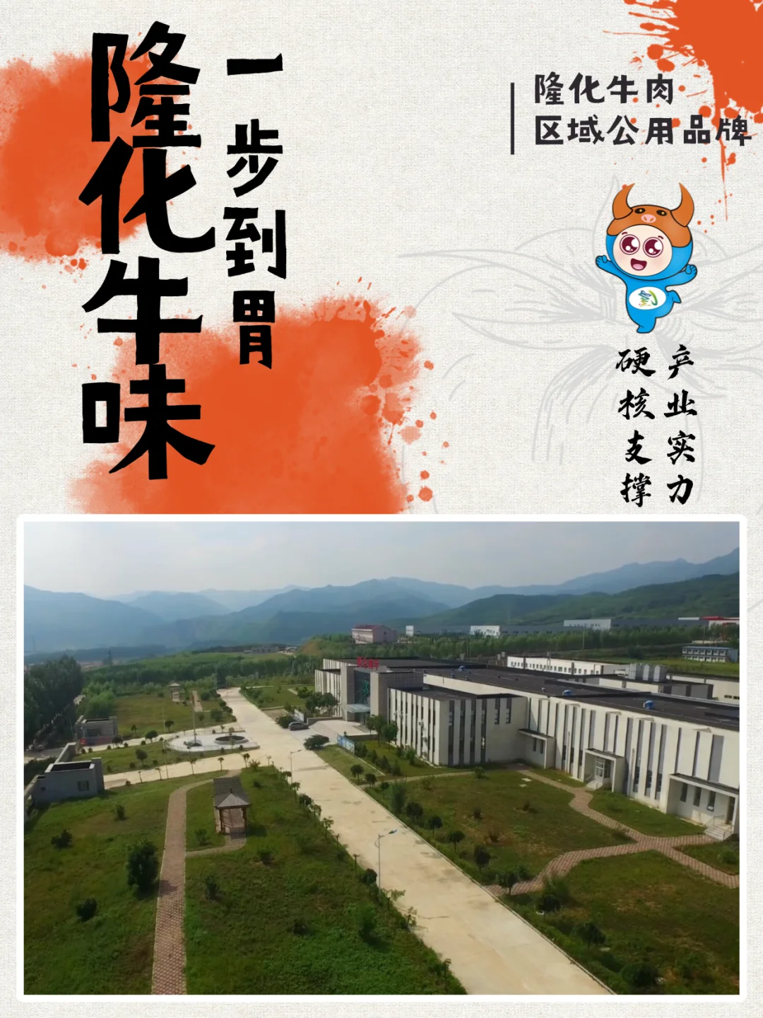 不是所有好牛肉都叫“隆化牛肉”