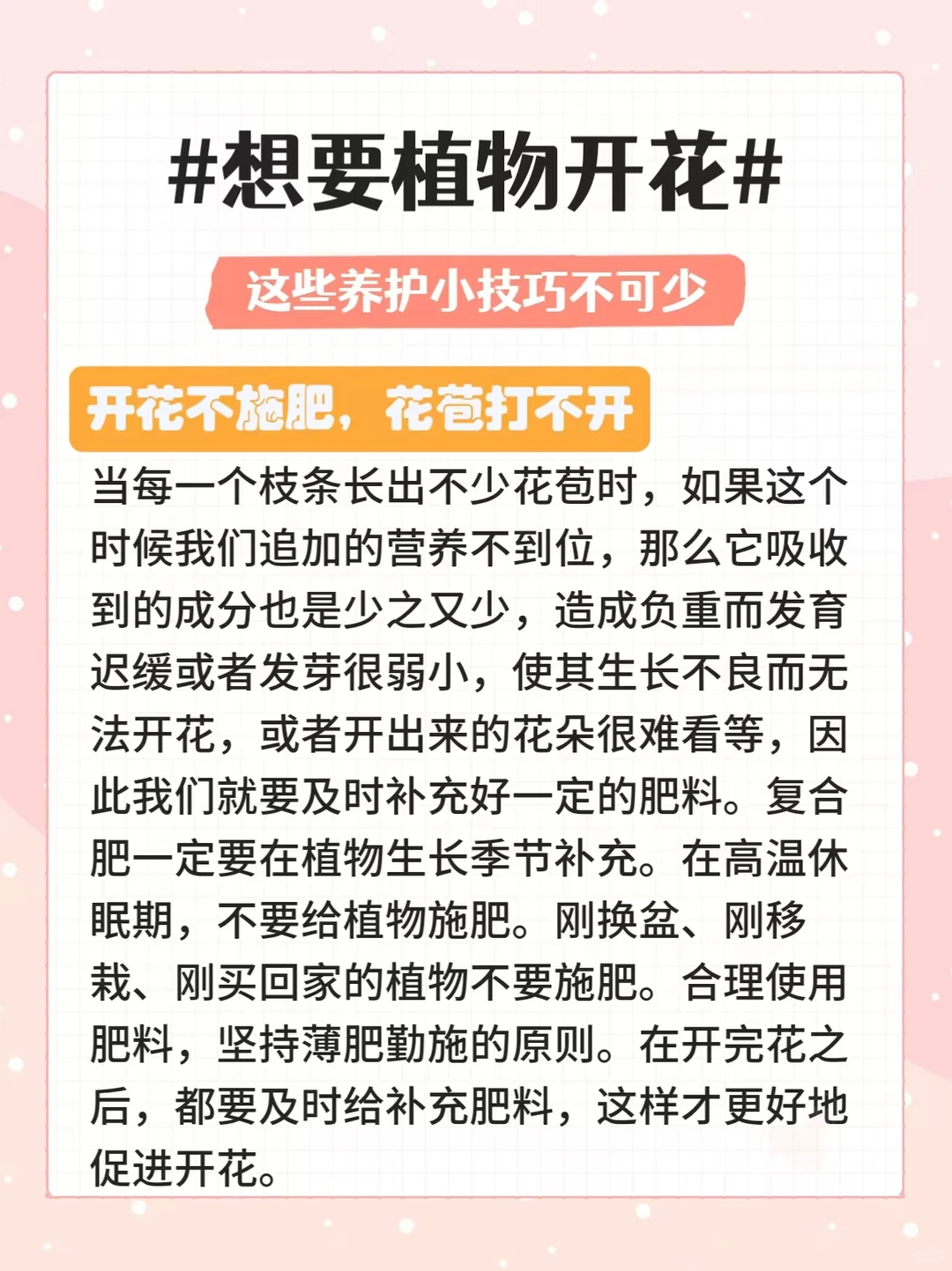 35种常见观花绿植合集|植物开花养护方法