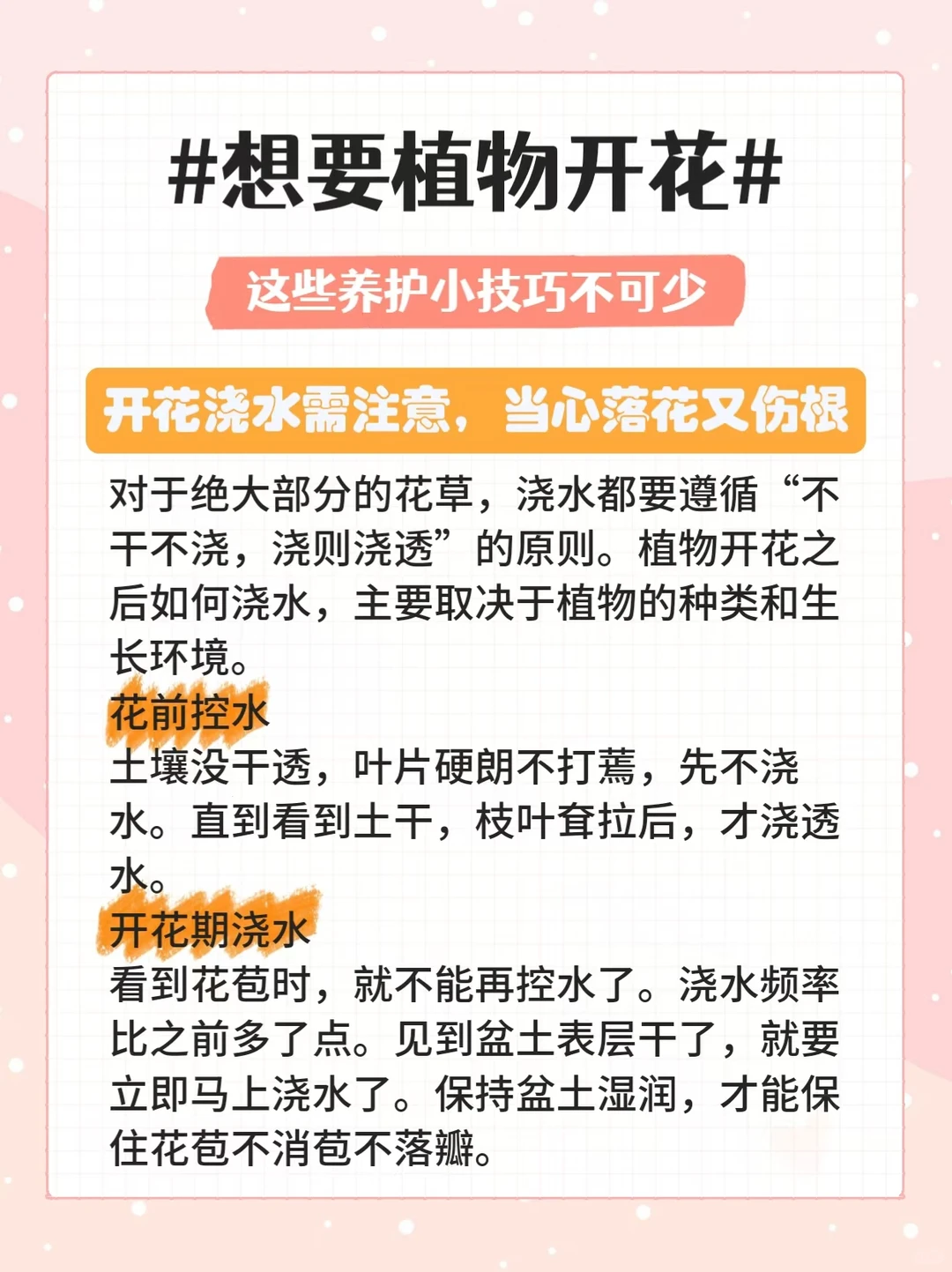35种常见观花绿植合集|植物开花养护方法