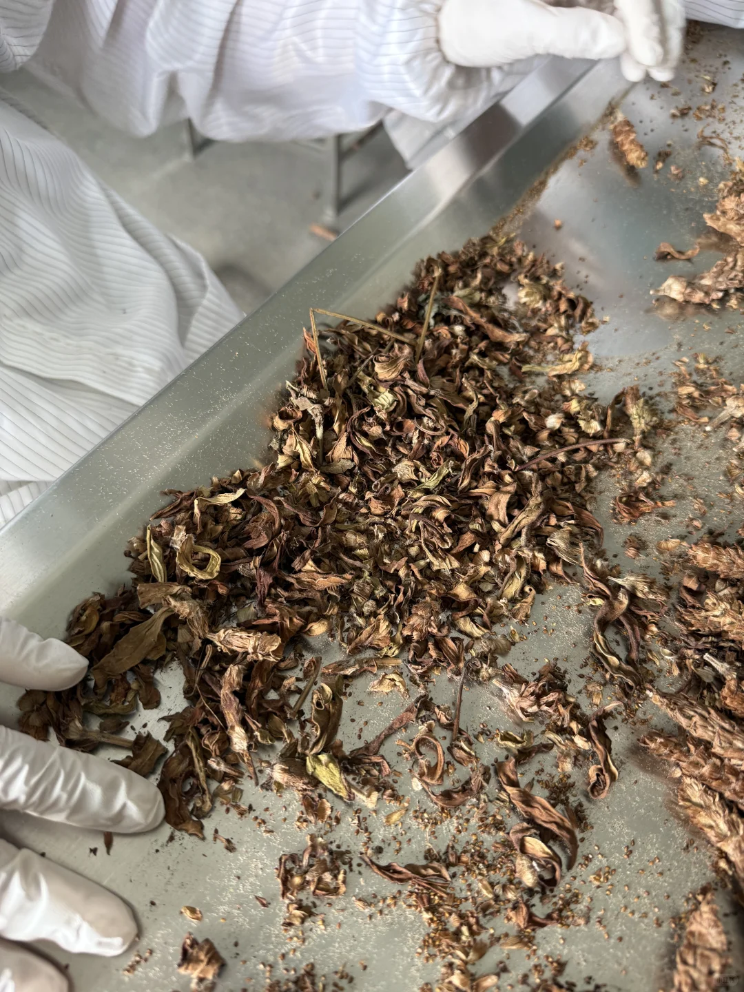 今日加工的小东西～