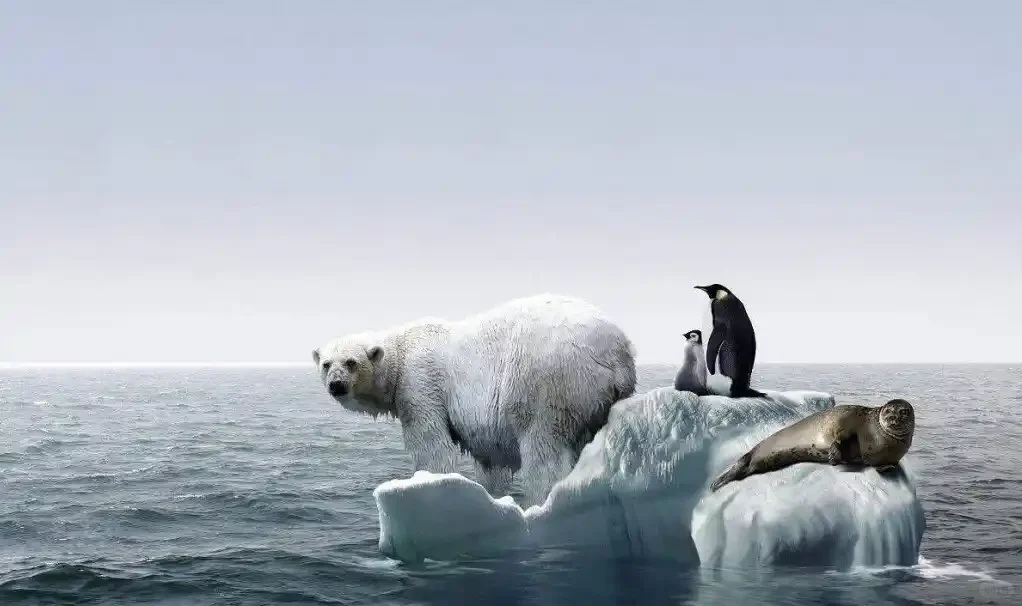 共担责任，守护未来