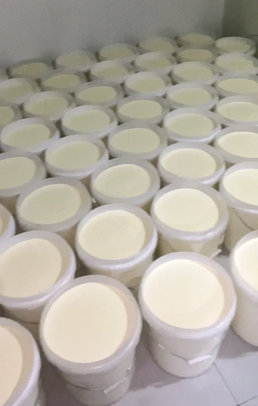 无经验无存款❗️裸辞回农村开厂子，太明智了