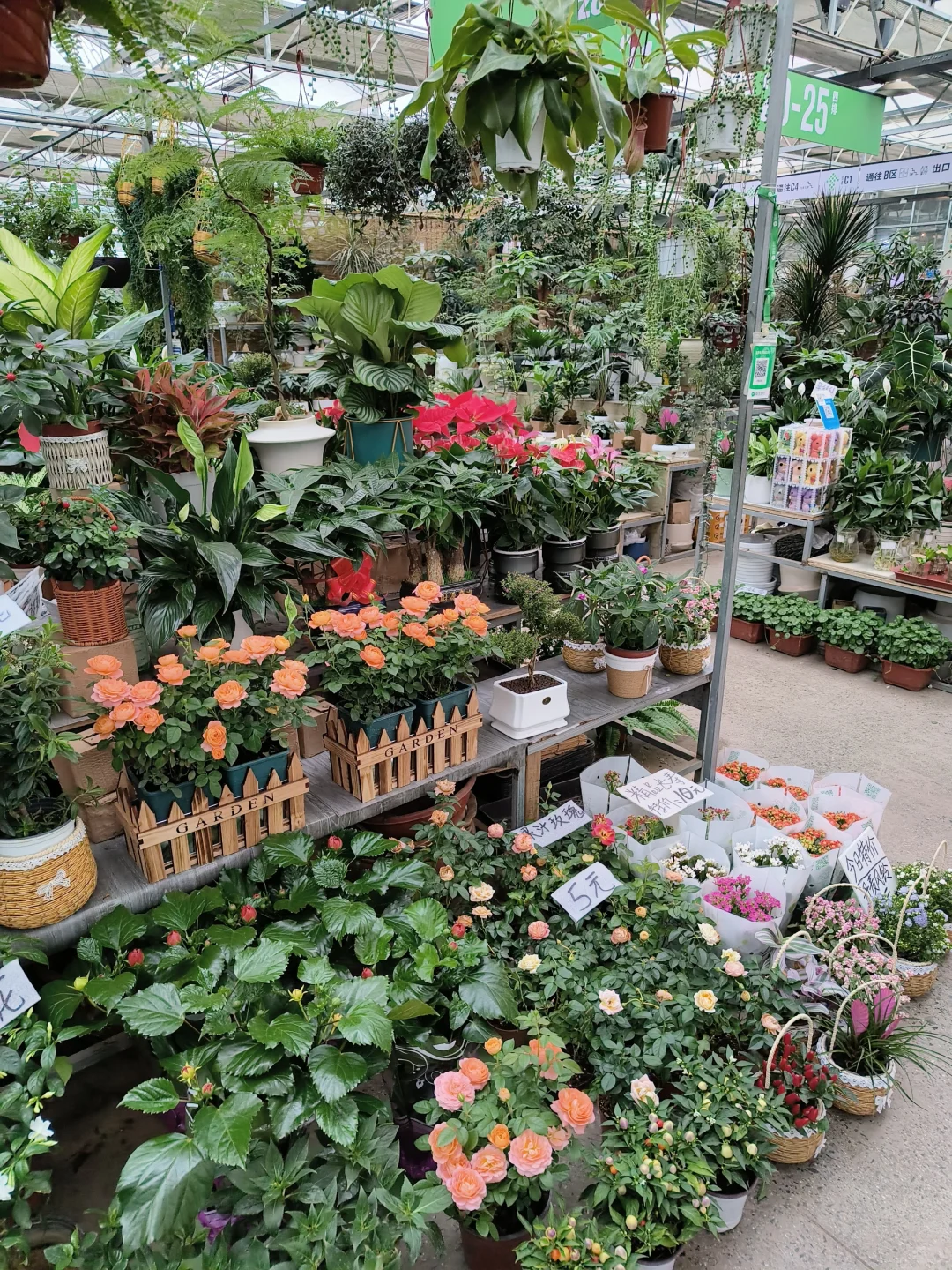 周末就去叁五壹壹吧！