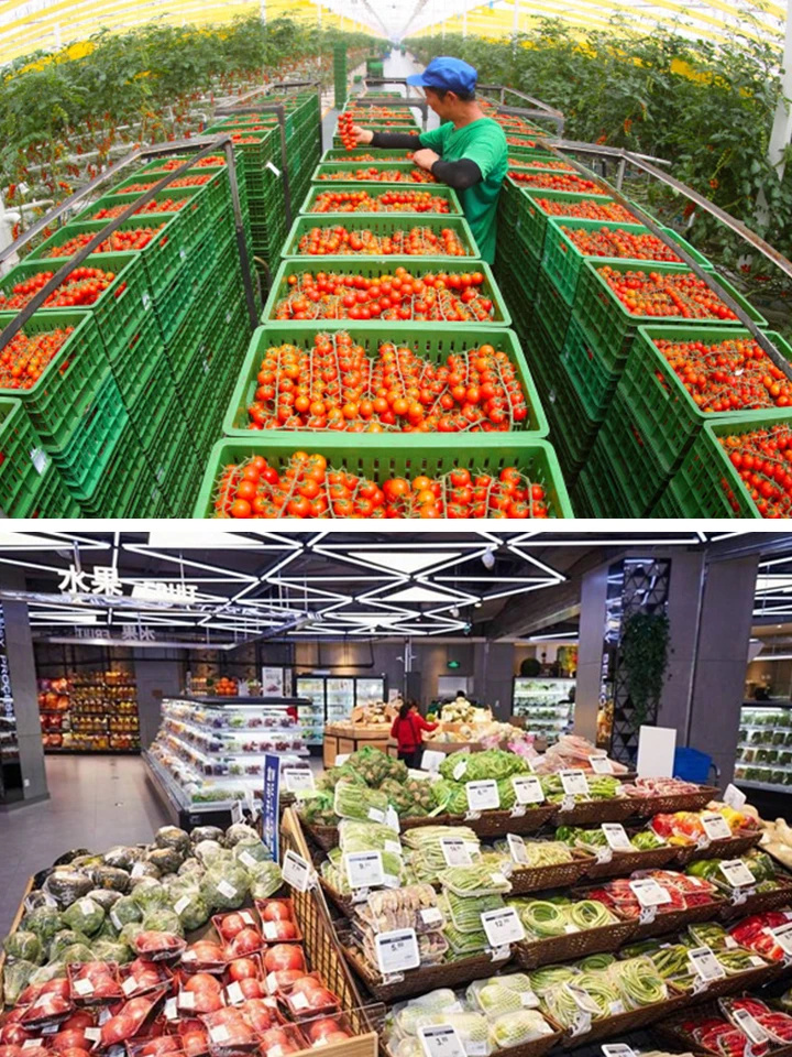 农产品供应链中的几种主要物流模式