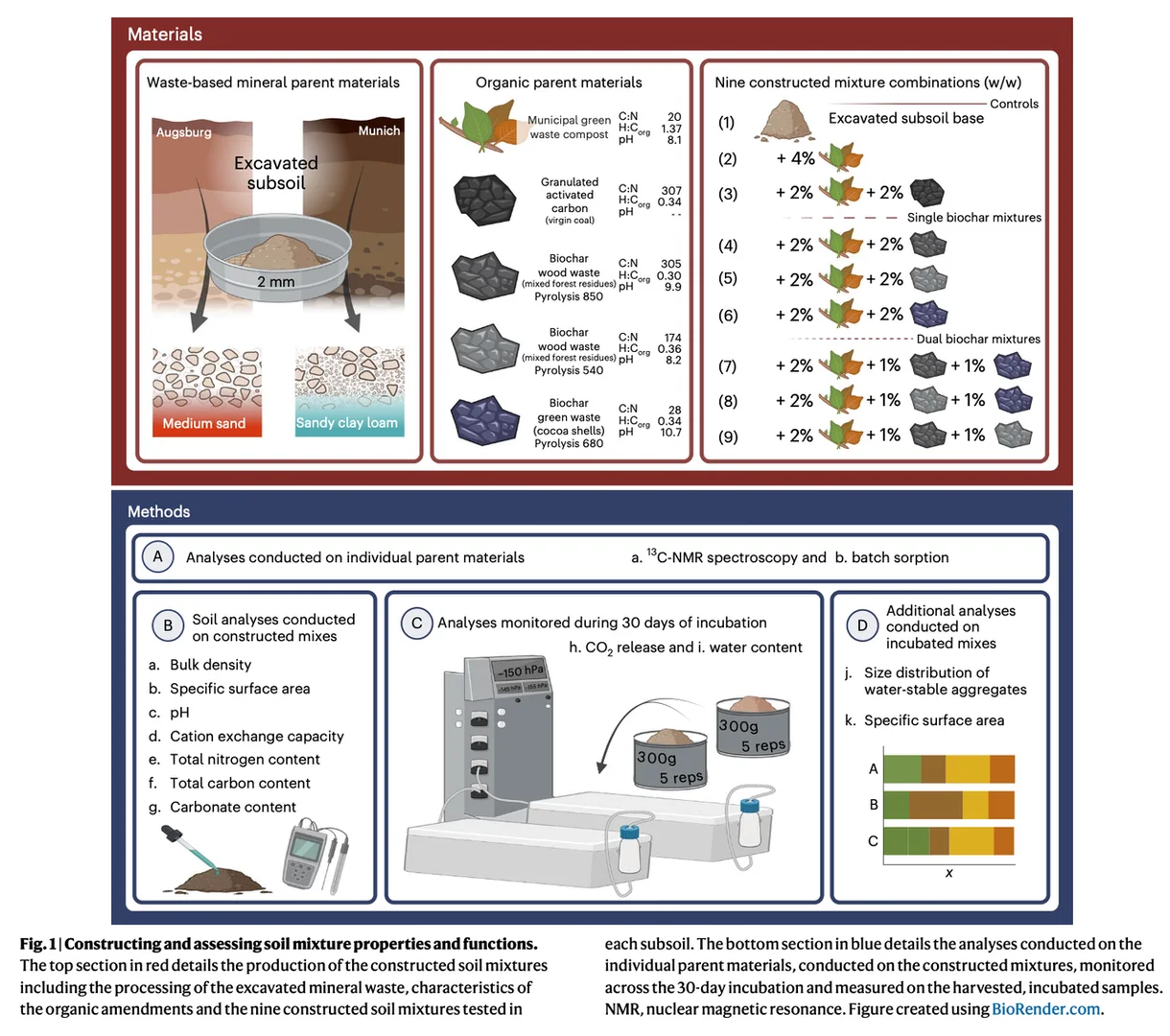 变废为宝：用城市垃圾打造“超级土壤”