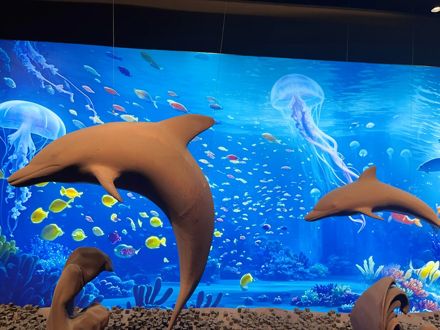 可可主角 巧克力工厂