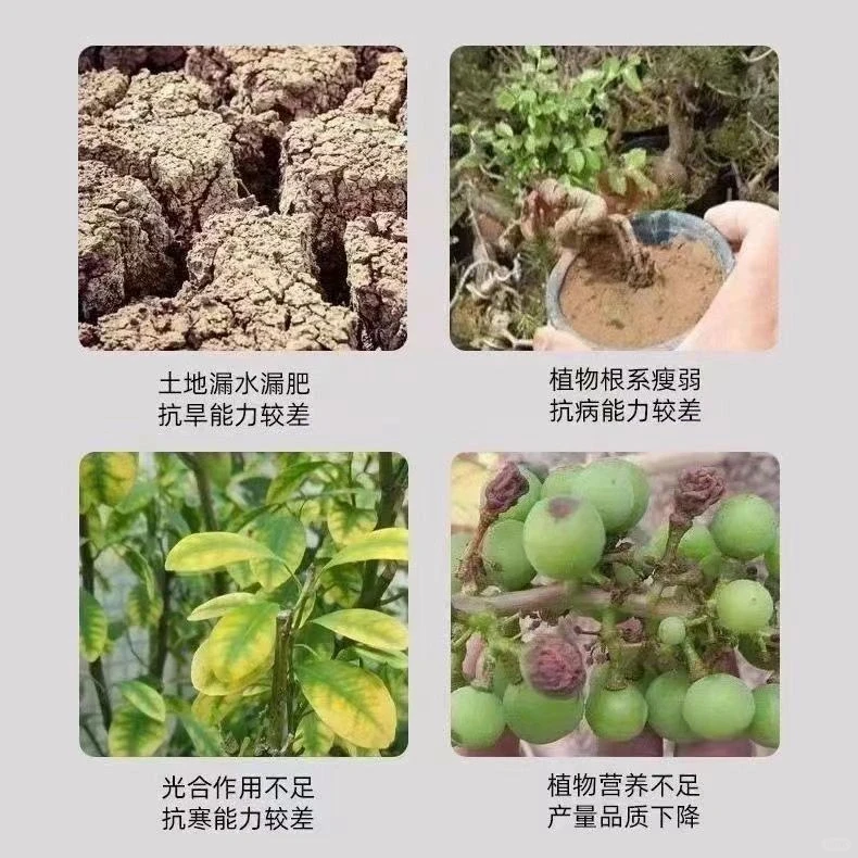 ?让土壤焕发新生，植物茁壮成长?