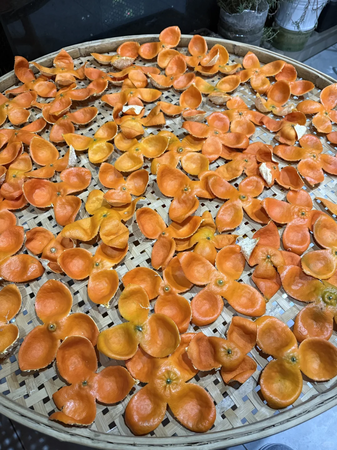 亲手剥的川橘皮～