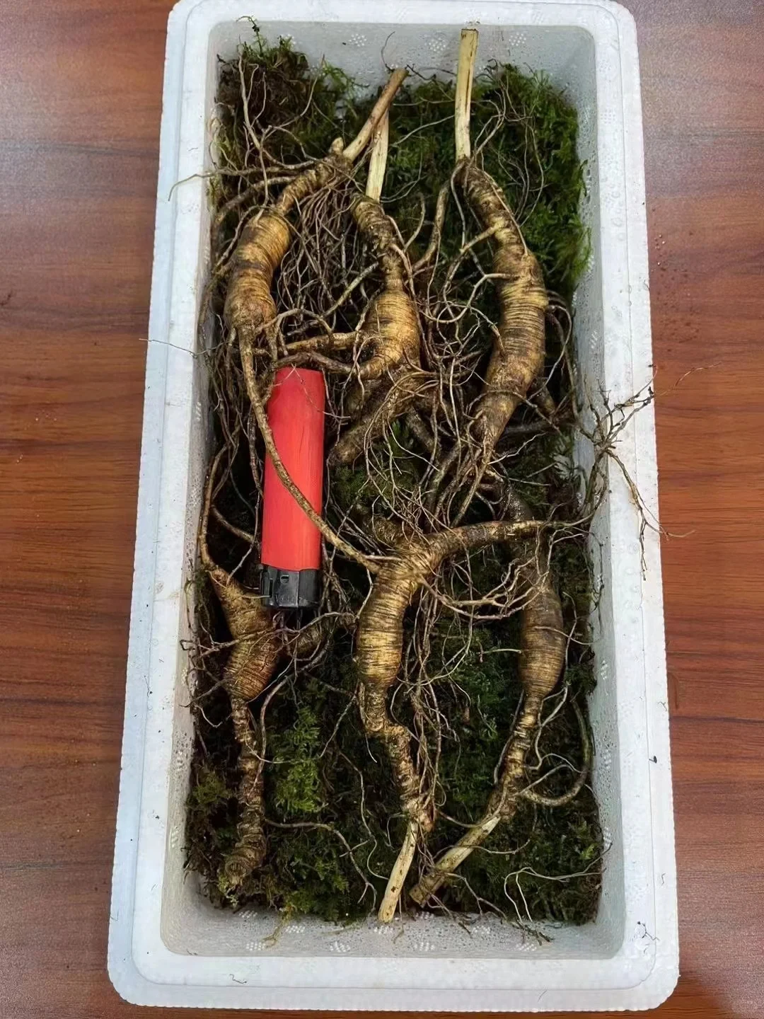 精品林下籽小货，年头高，品相好