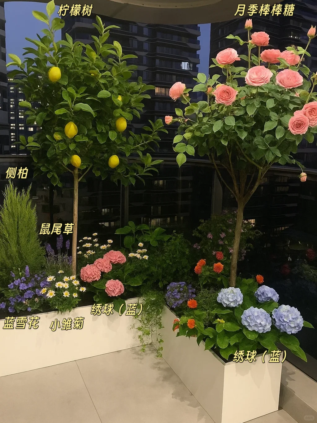 别刷民宿了！我家阳台比它还仙！！！✨