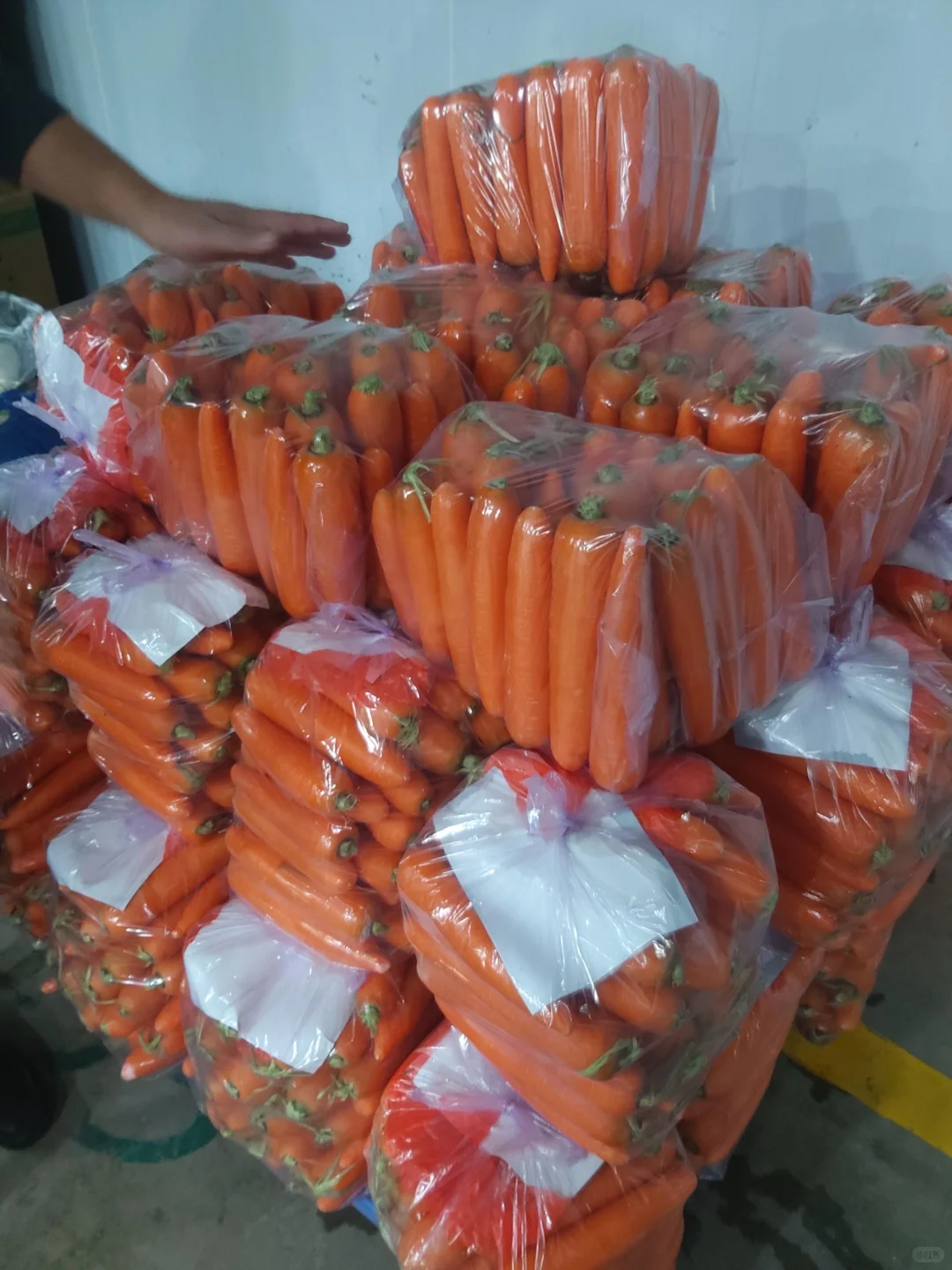 全品类食材配送