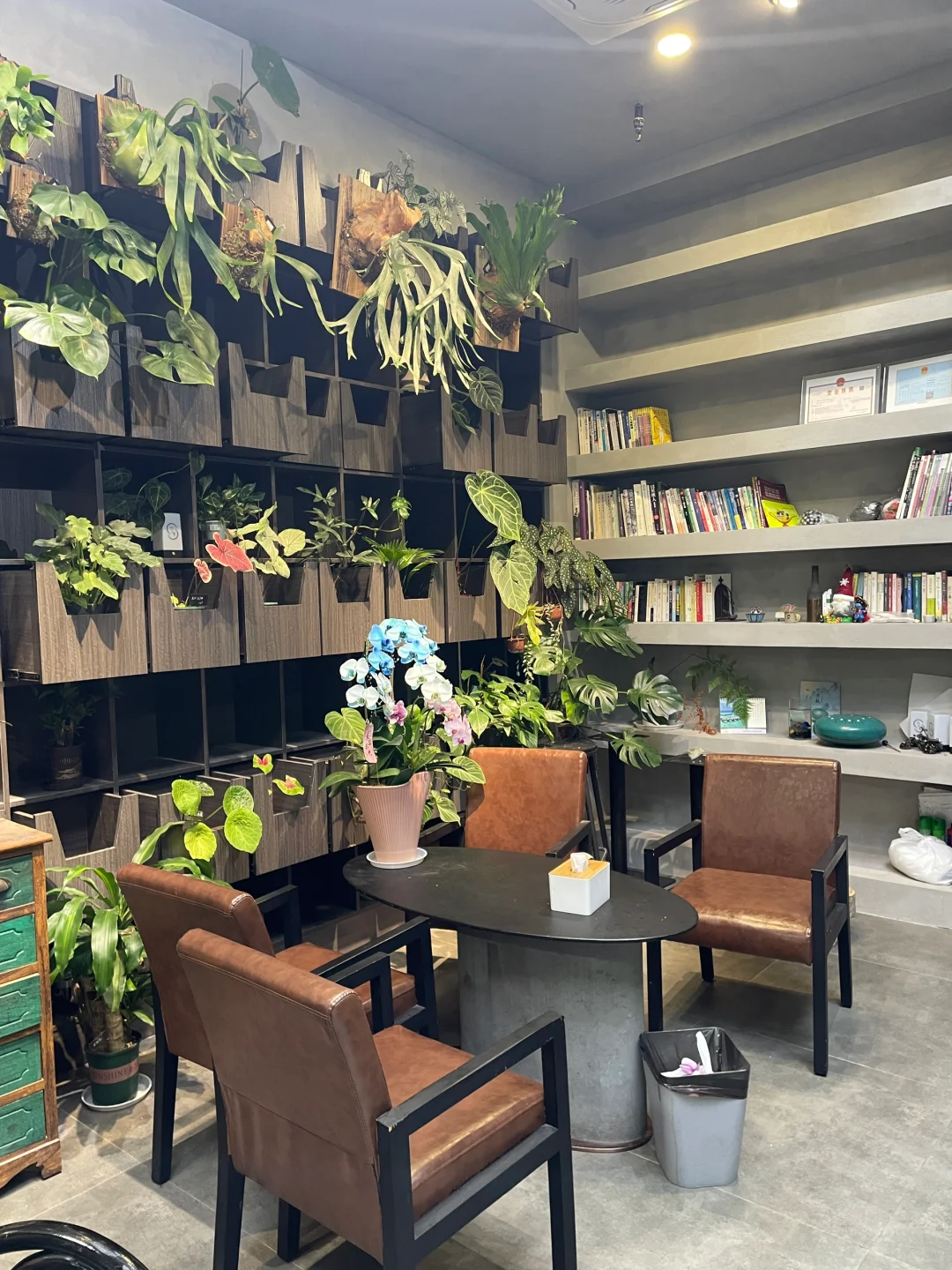 这家花店我太爱了!?