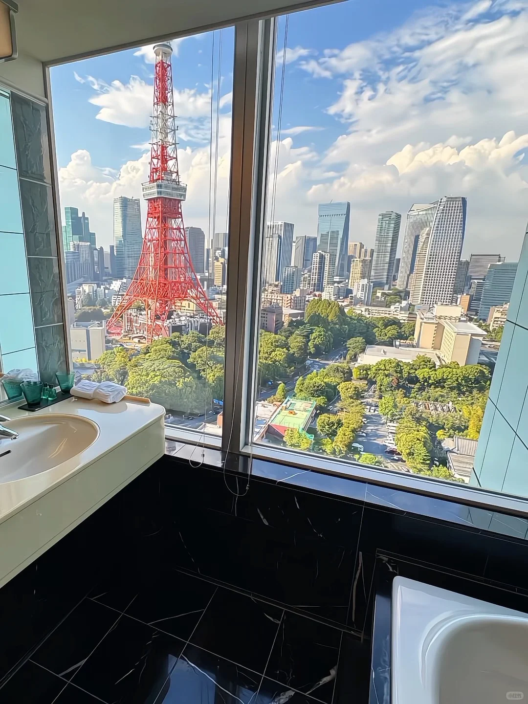 有人去东京吗？急转东京王子?(11.27-3.30)