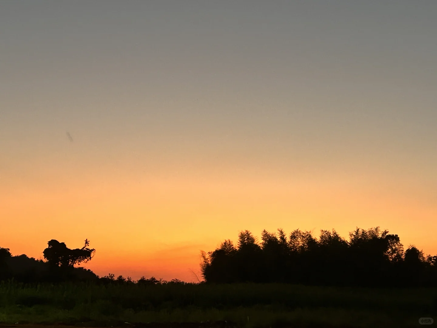 独立英语老师日常「学会吸收能量」