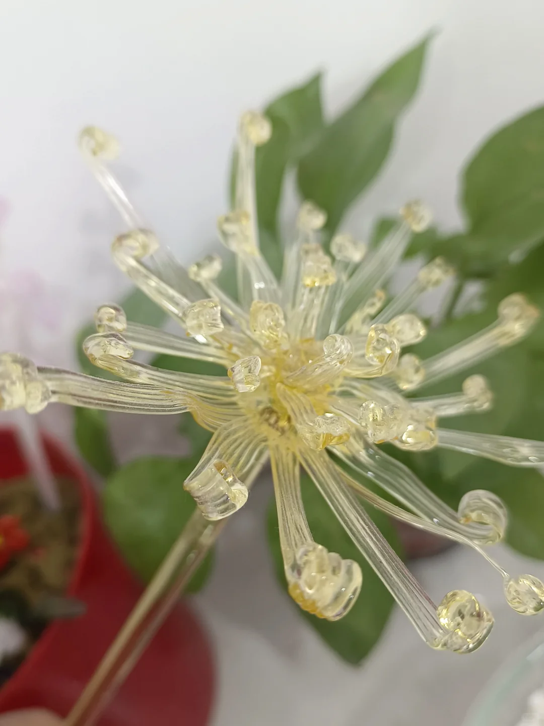 烧玻璃不限量，今日小分享！