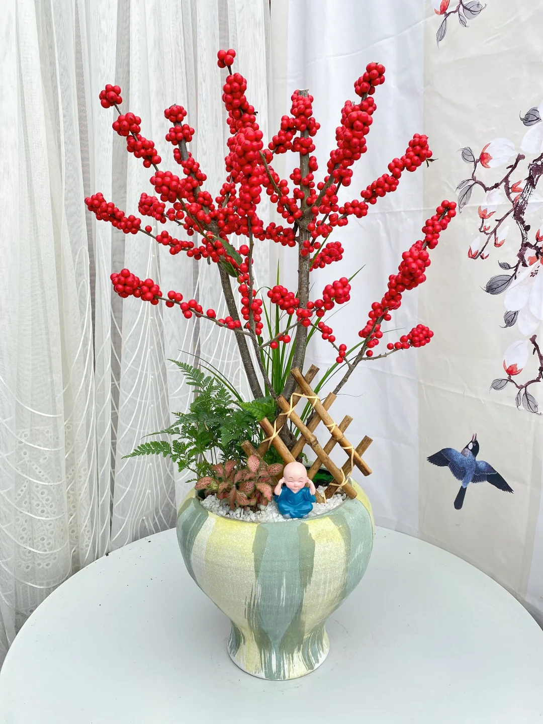 北美冬青精品盆栽上新