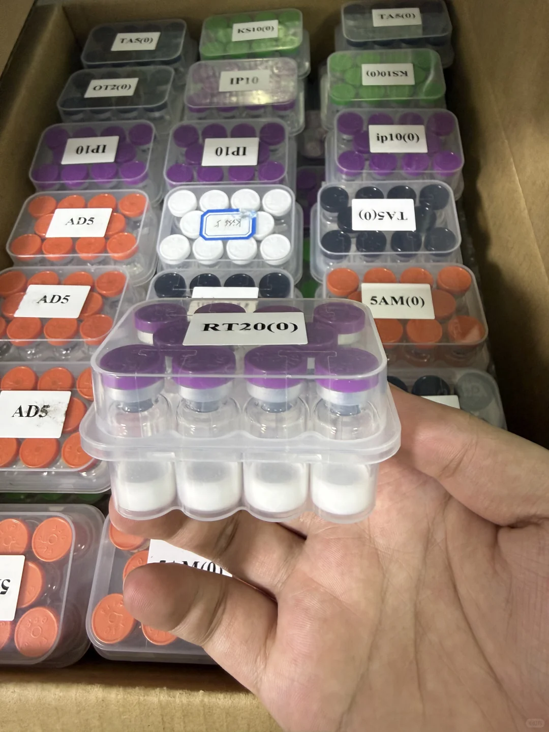 高品质冻干粉直销 找供应商就找源头