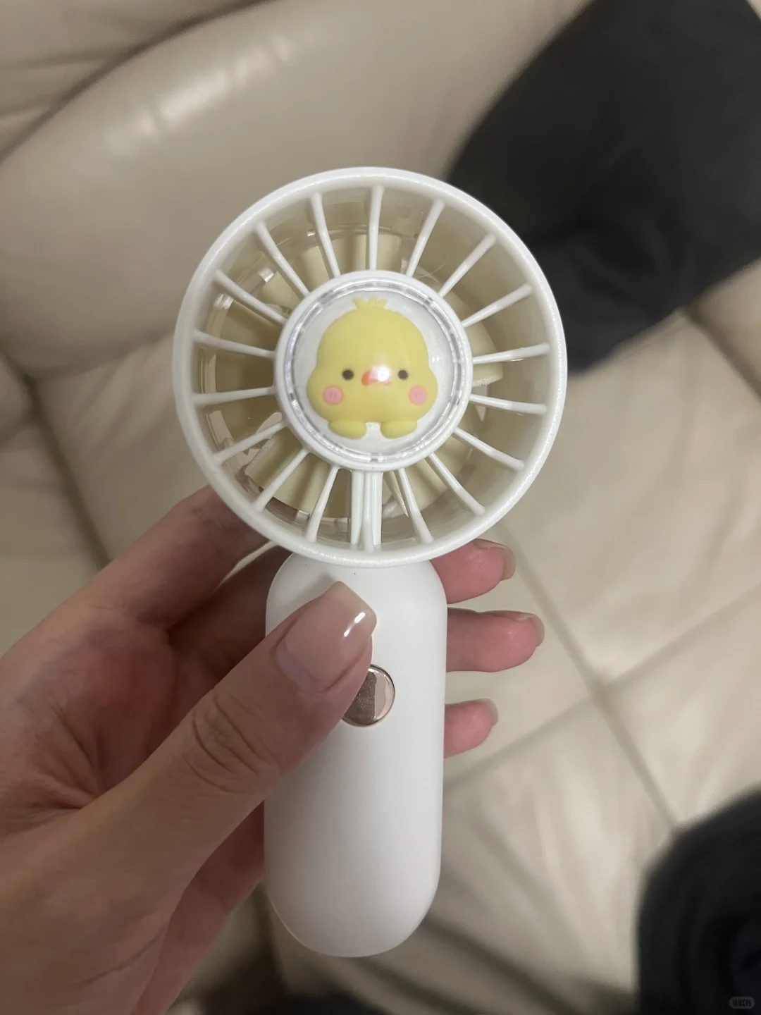 如何在家给毛孩子吸氧，家庭吸氧