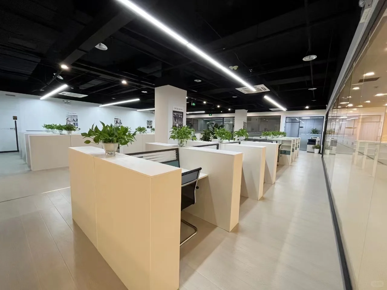 哇哦!新入职的公司真是爽翻啦!哈哈哈哈