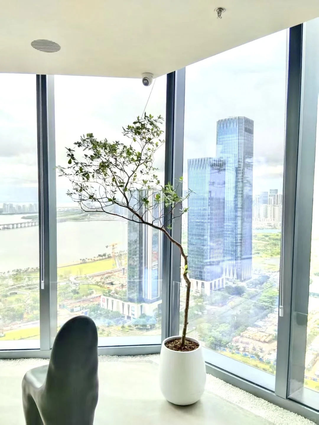 室内落地绿植花卉