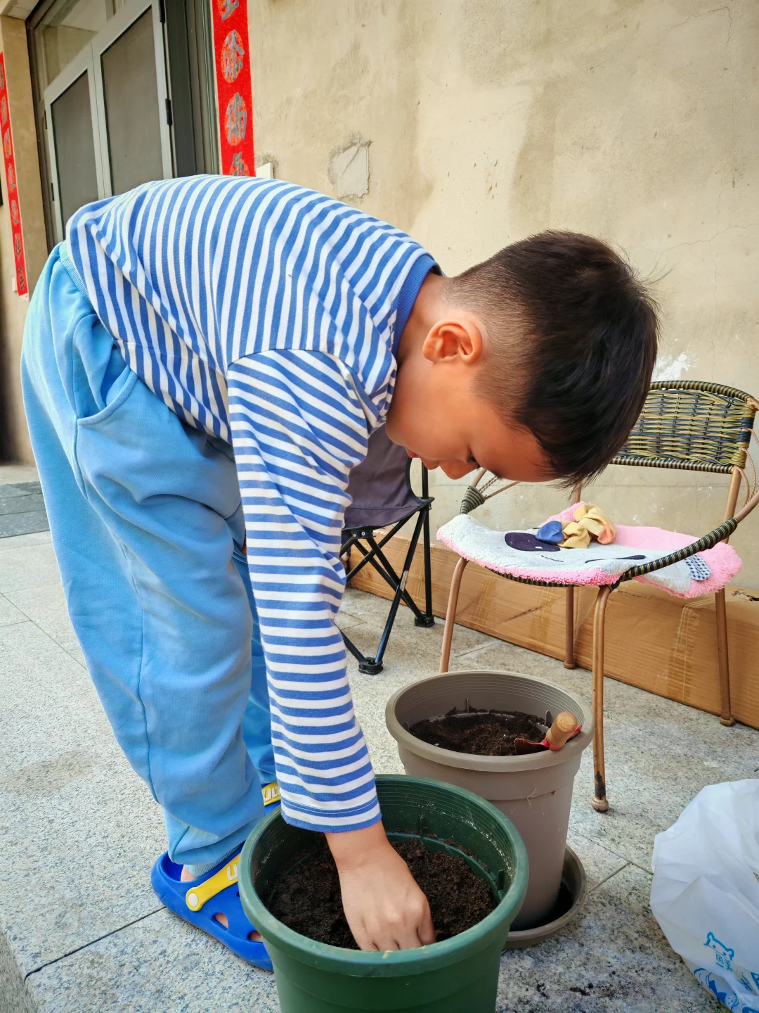 夏天到了，种点花吧！