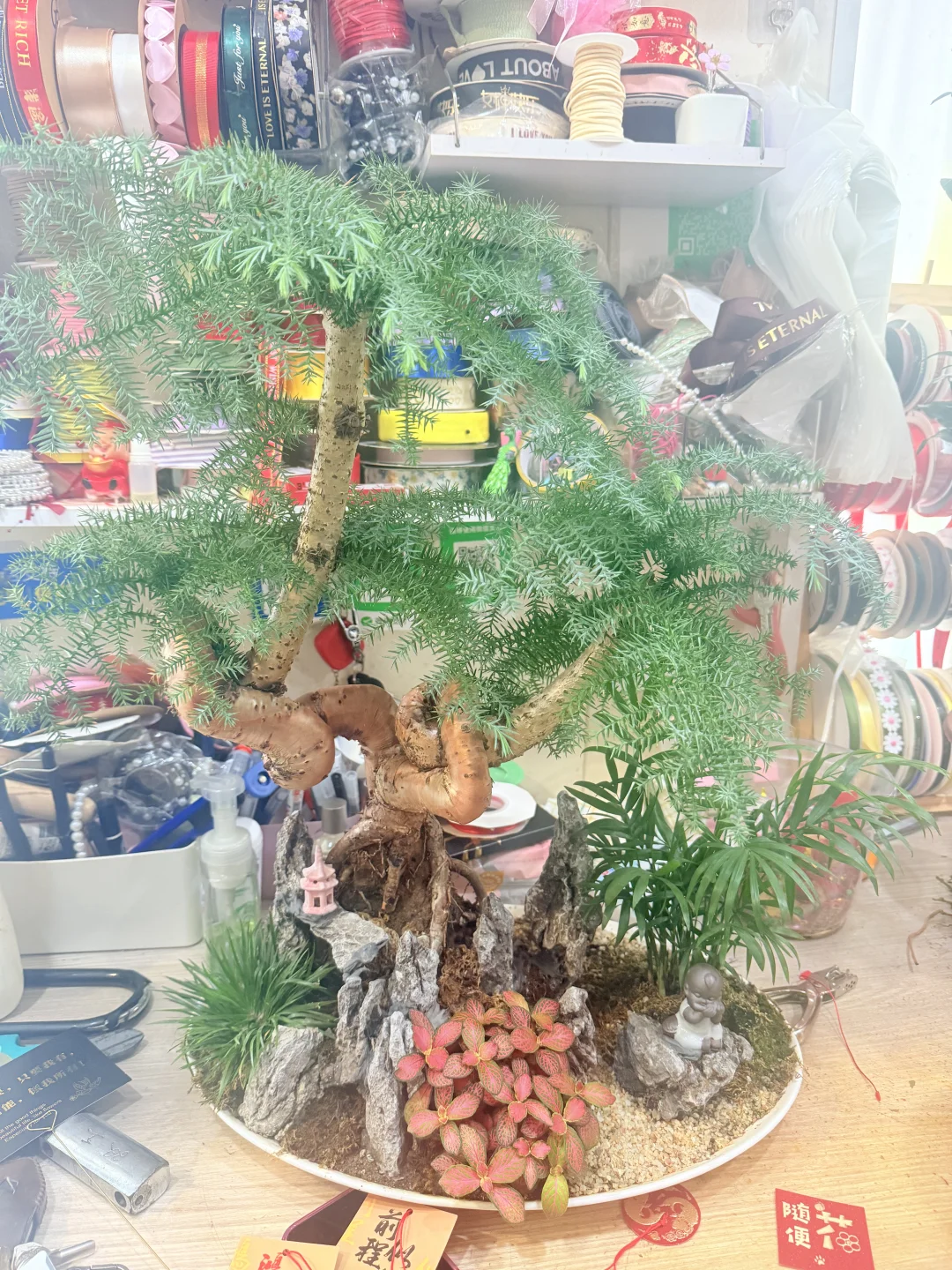 这花太漂亮了！太好拍了！