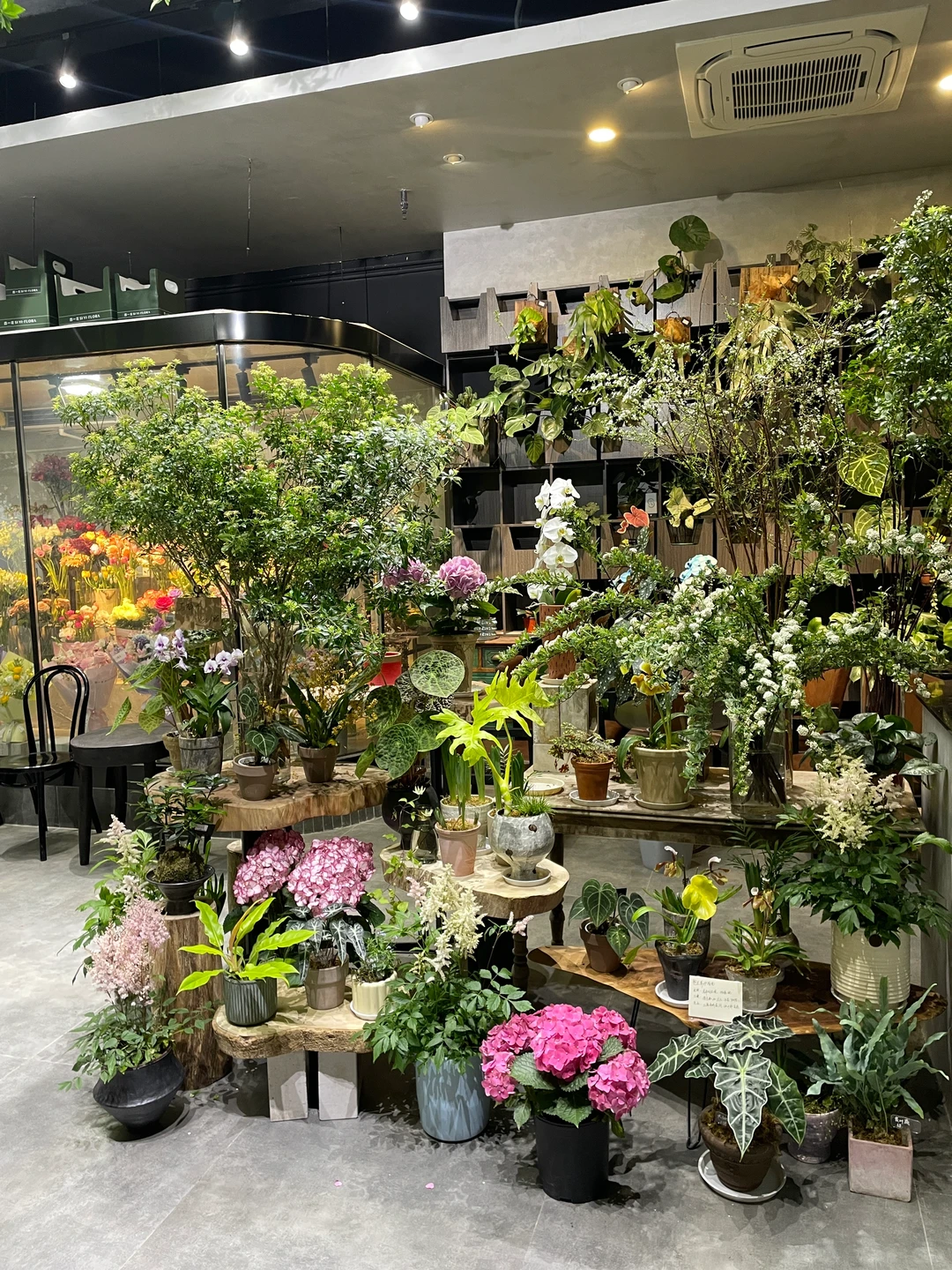 这家花店我太爱了!?