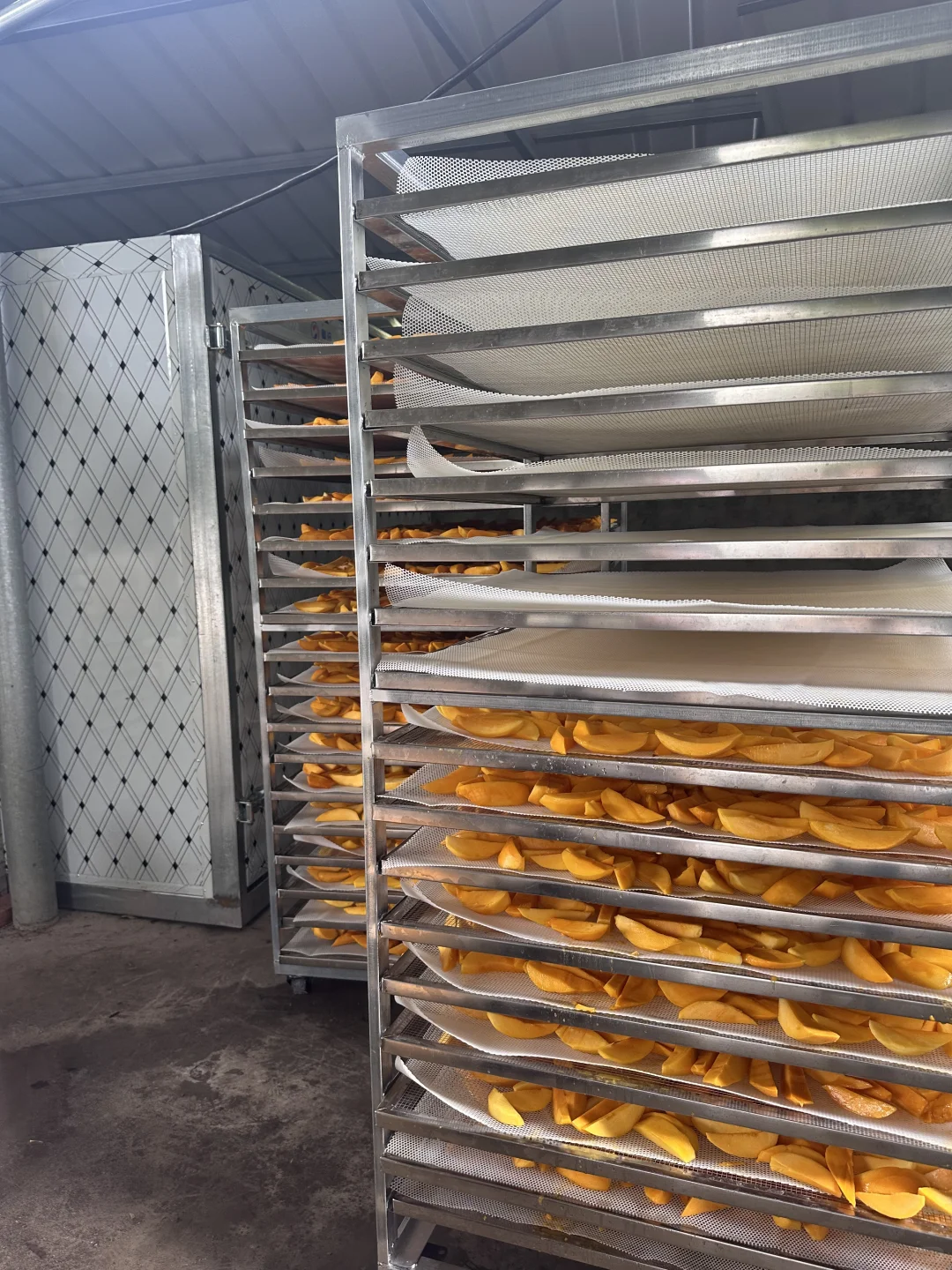 烘干加工一台全搞定！