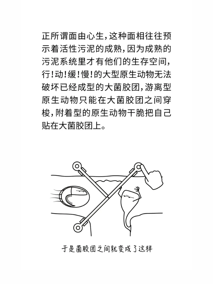 万万没想到，水处理也是个看脸的行业