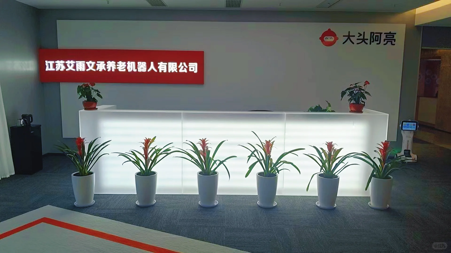 中国首家养老机器人公司诚招全球?代理