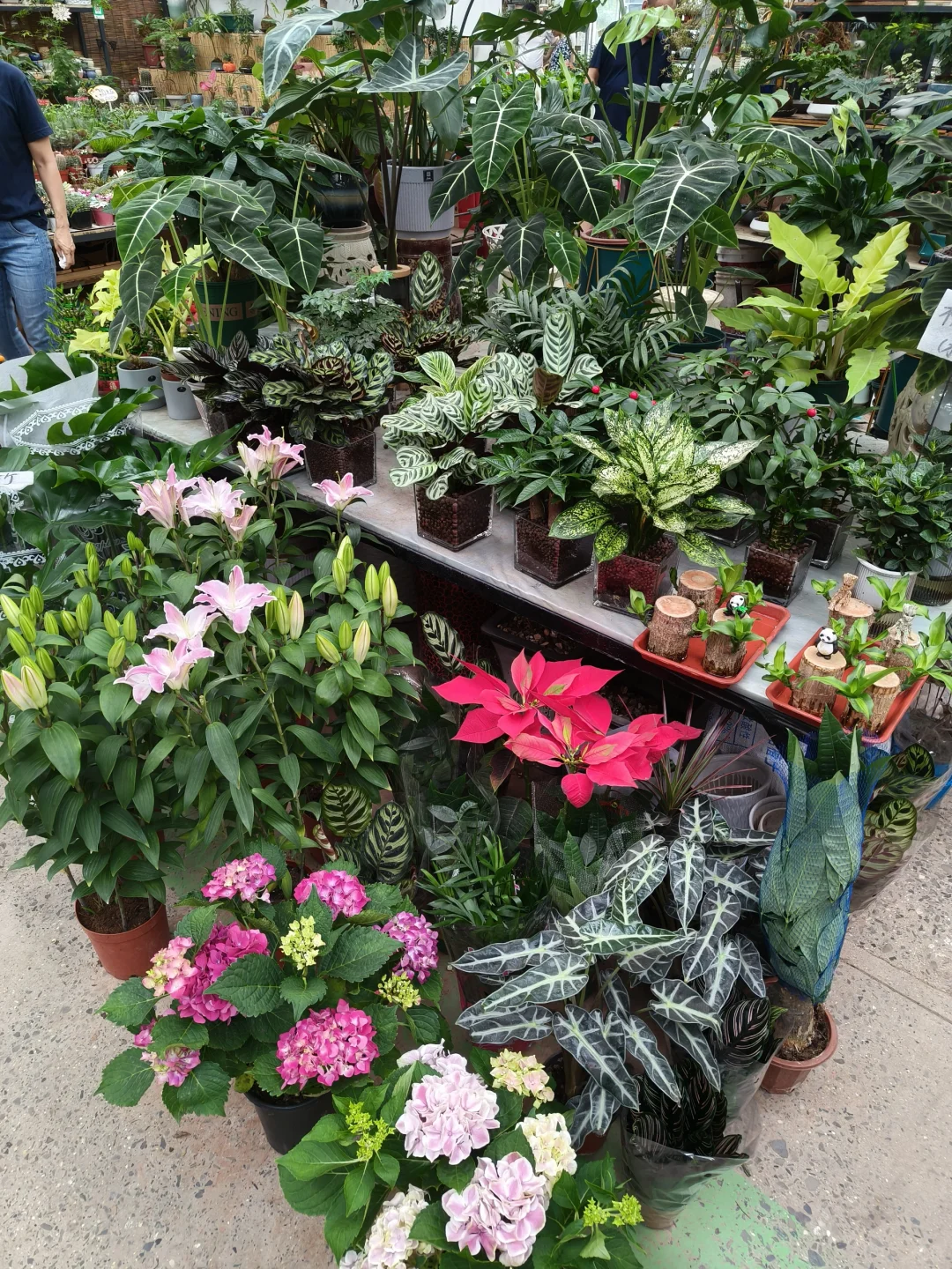 周末就去叁五壹壹吧！