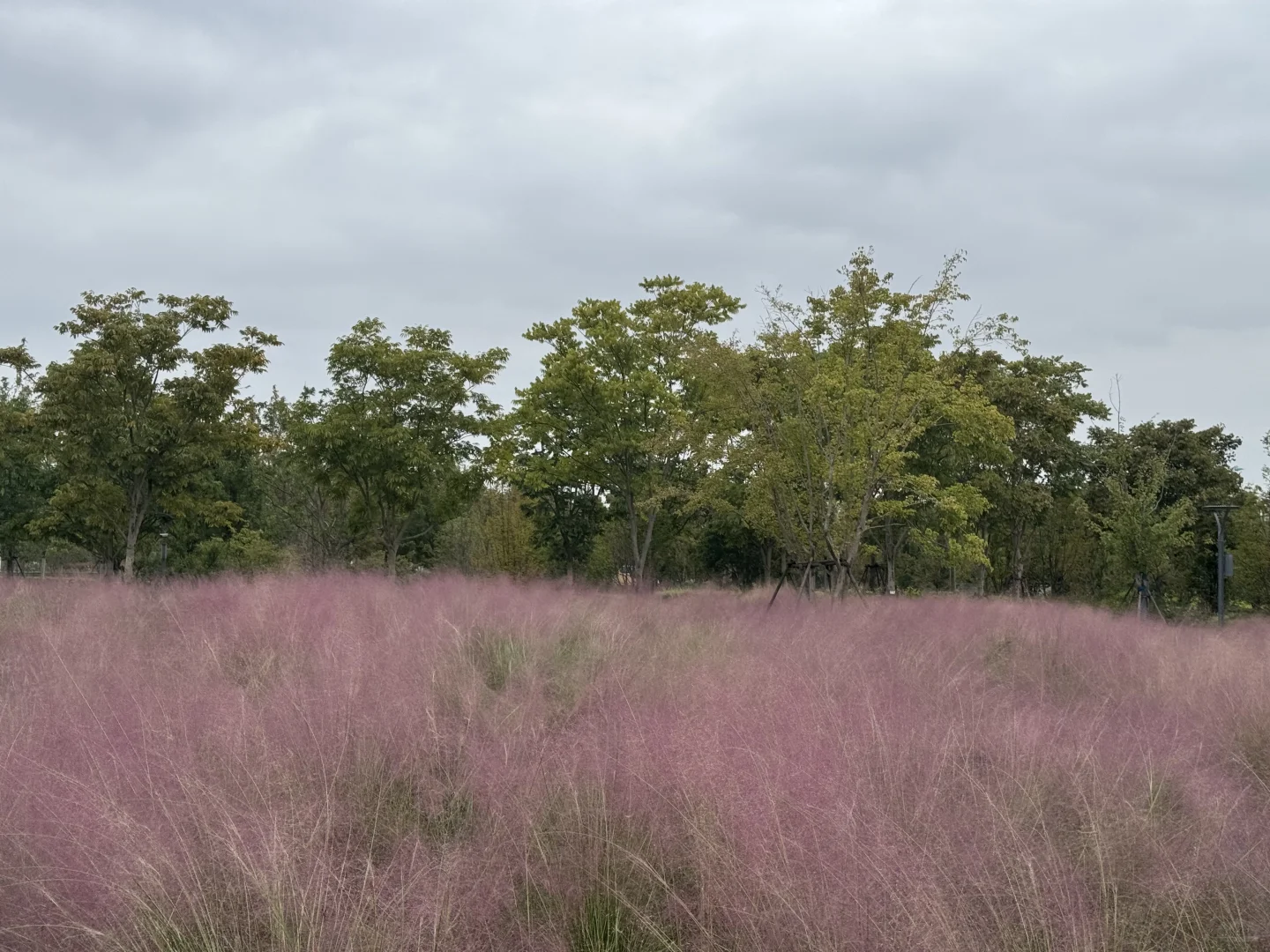 合规管理制度有哪些？周一来说说