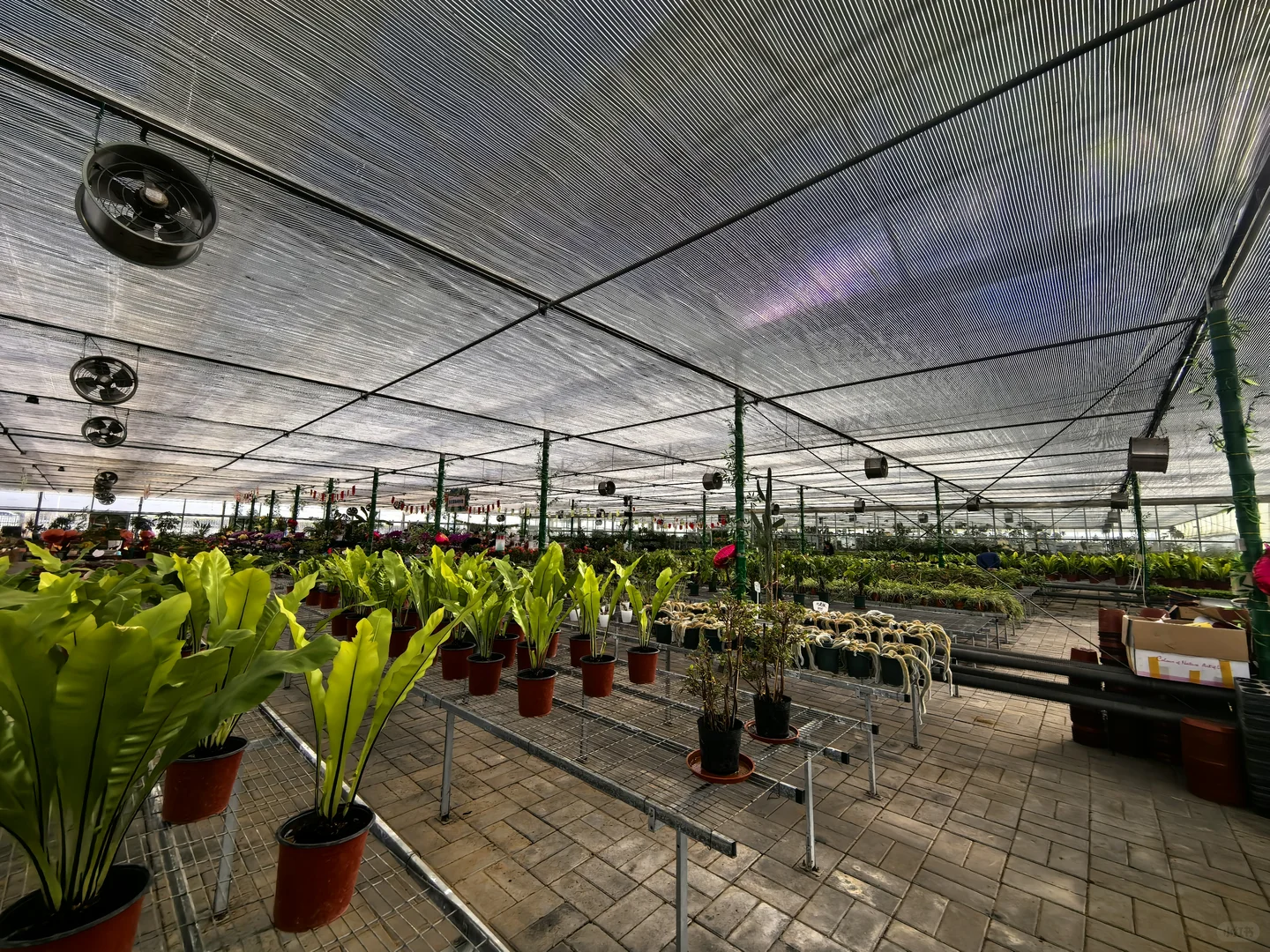 鑫善百园花卉大厅真不错！