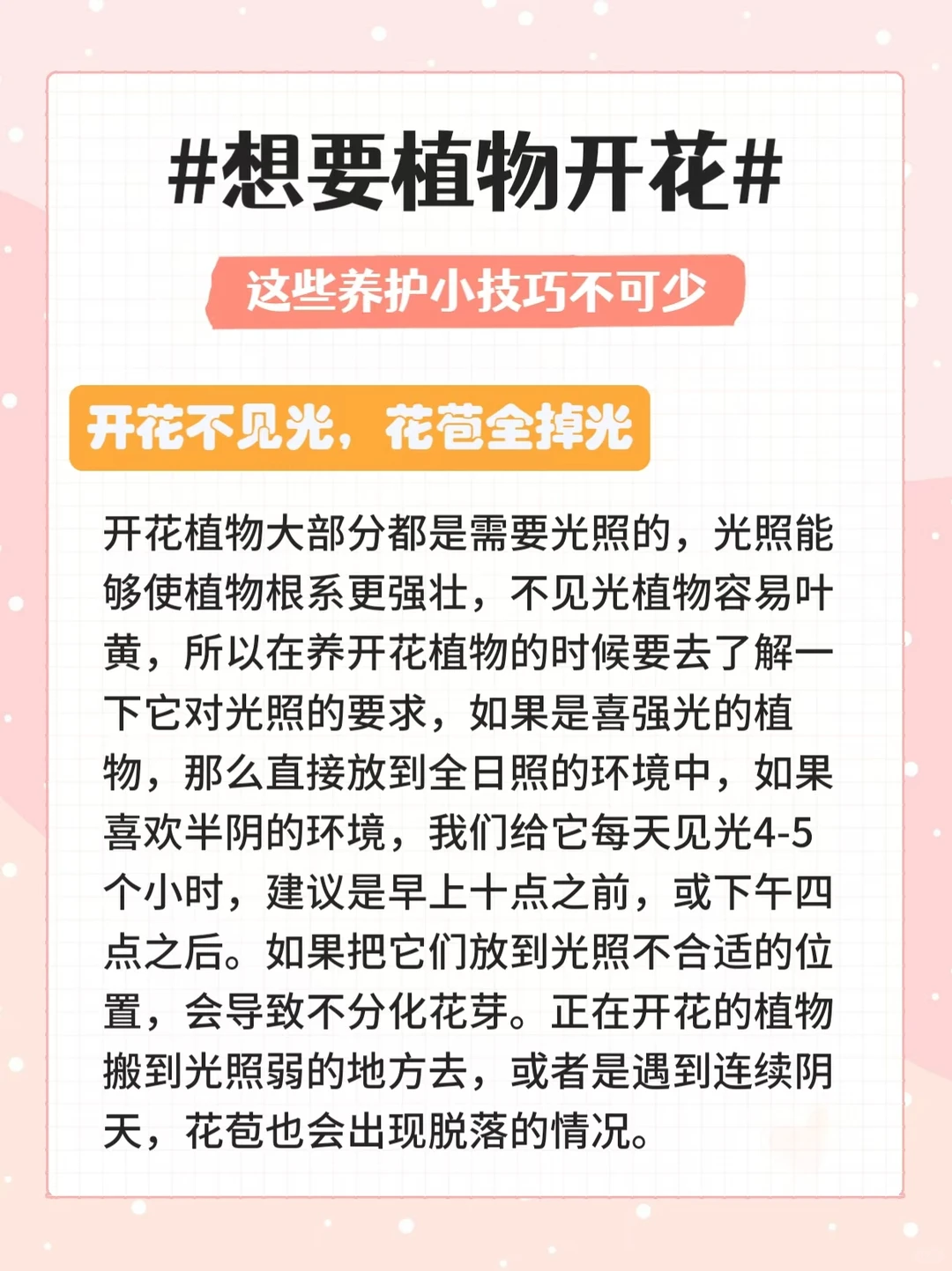 35种常见观花绿植合集|植物开花养护方法