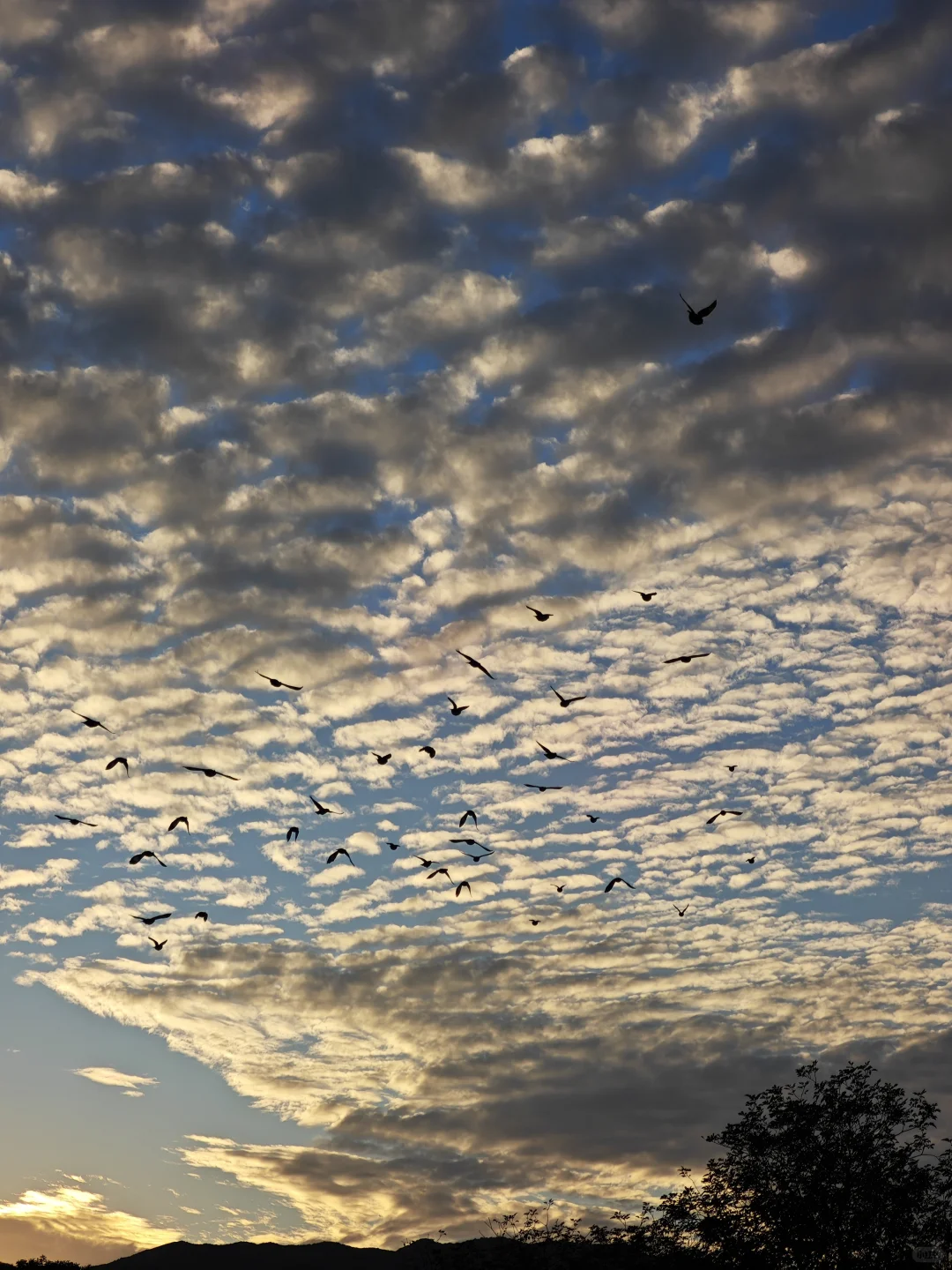 西贡村｜是他乡，也是回不去的故乡