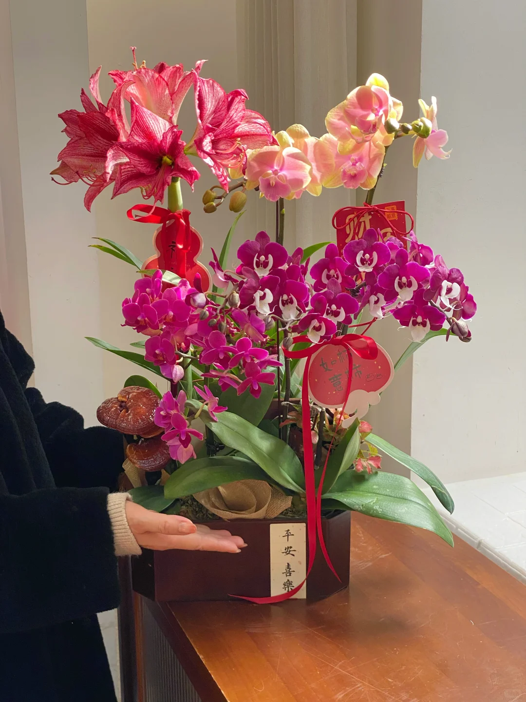 蝴蝶兰盆景，中式搭配最出彩?