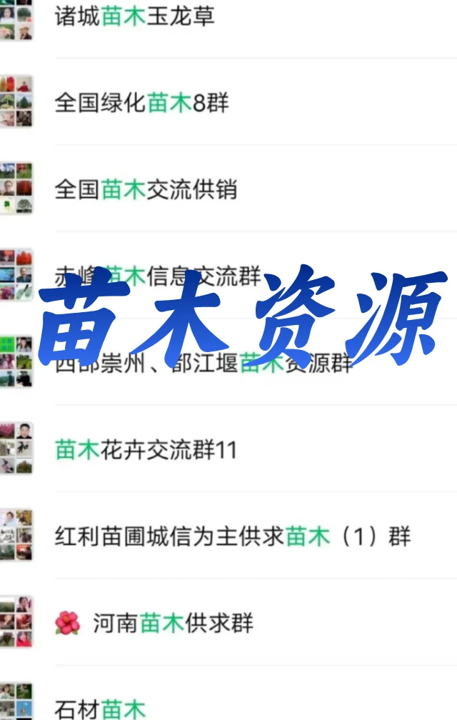 ?苗木人必看！苗木行业内部资源群大公开