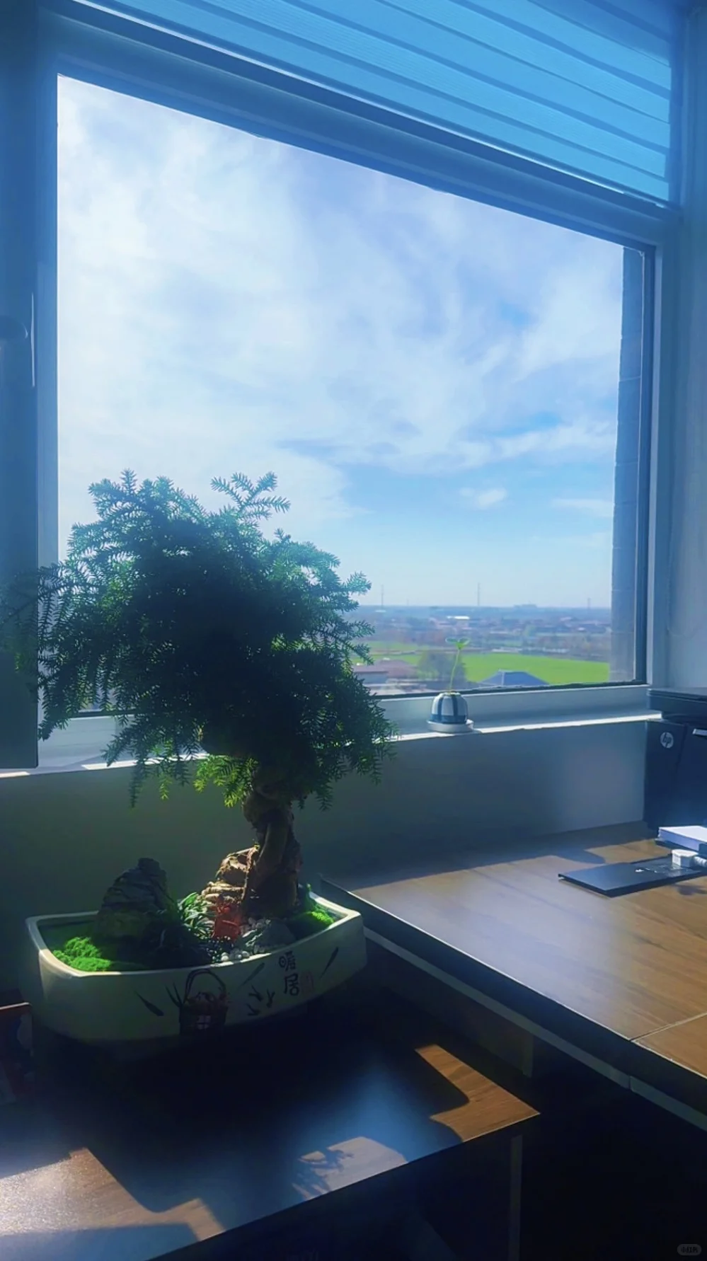 阳光正好，微风不燥，收江浙沪高新技术企业