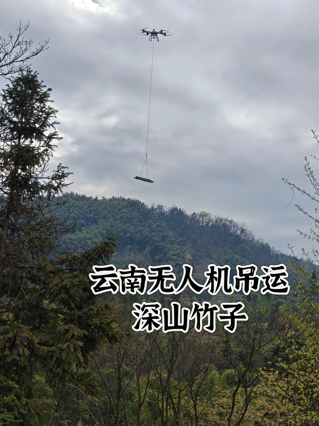 云南无人机吊运深山里的竹子