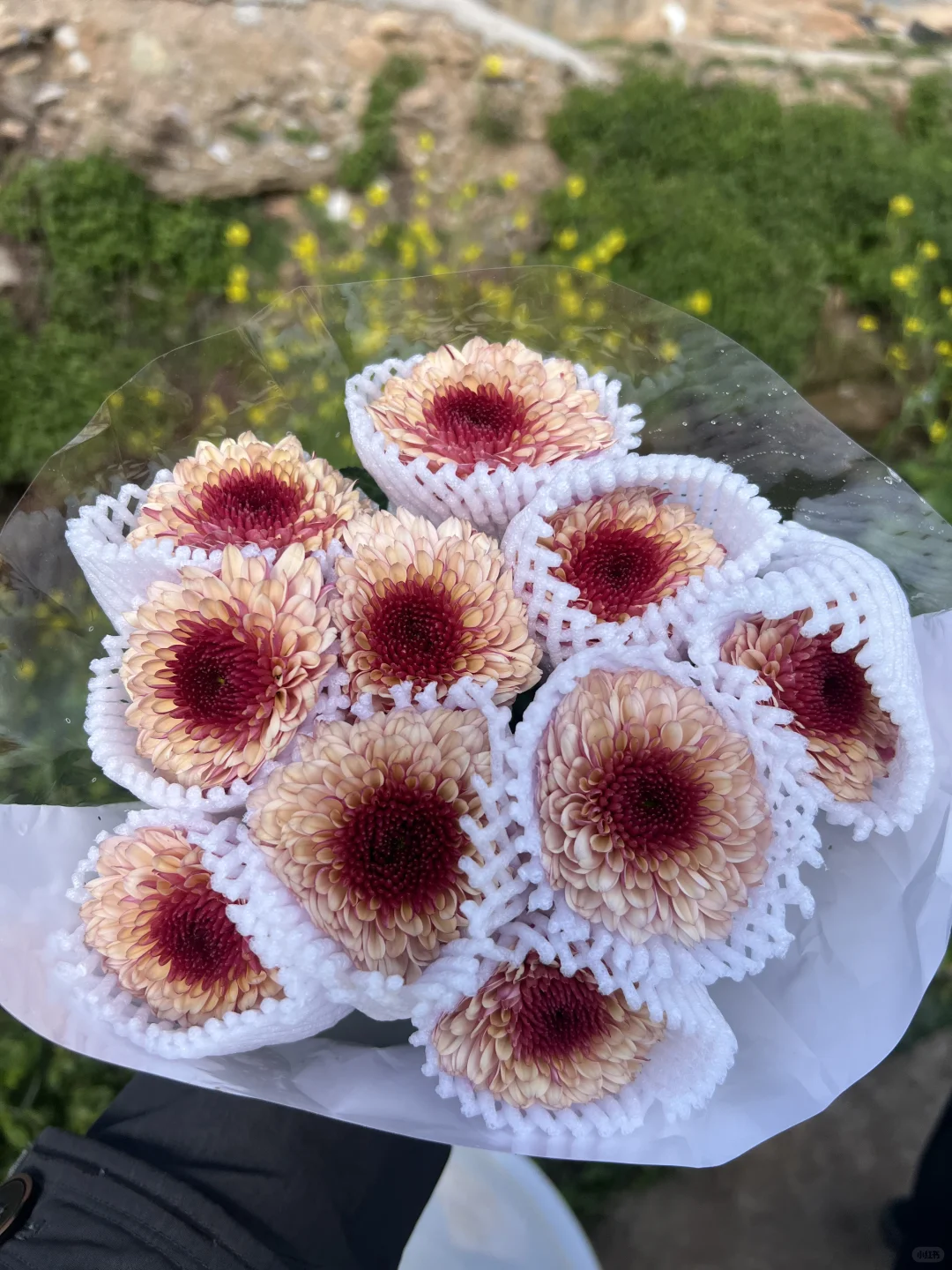 一天单头上花量500把～