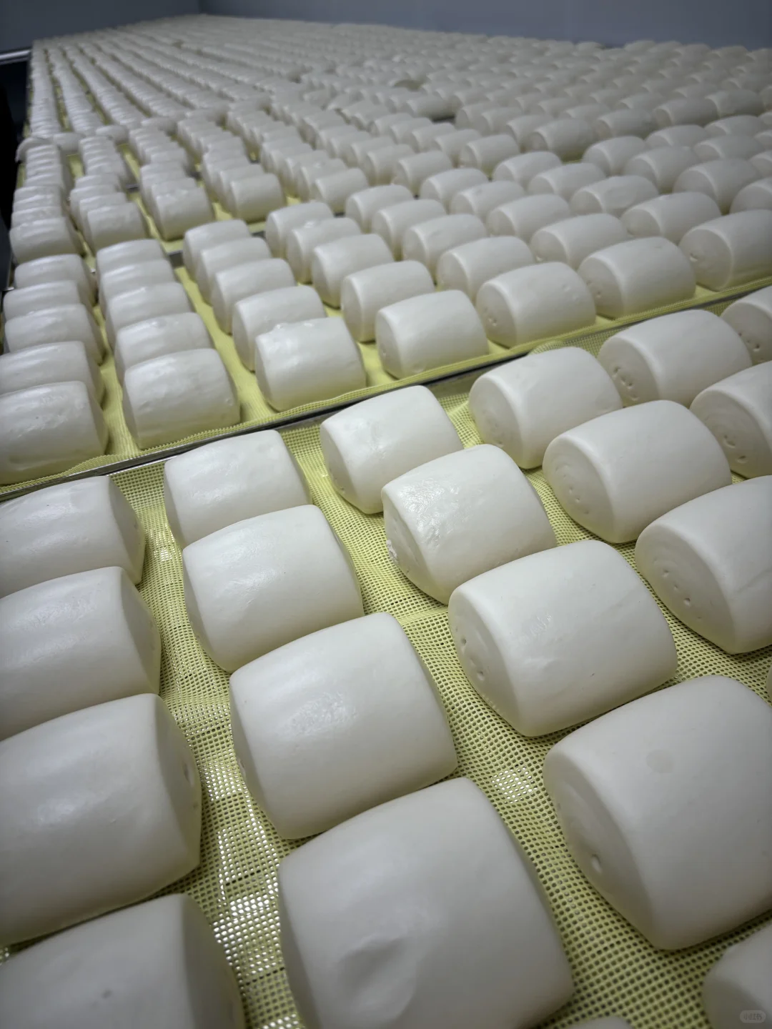 在淄博开了一家馒头工厂