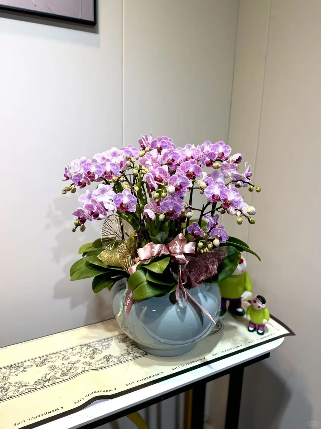 怎么会有这么美的兰花！