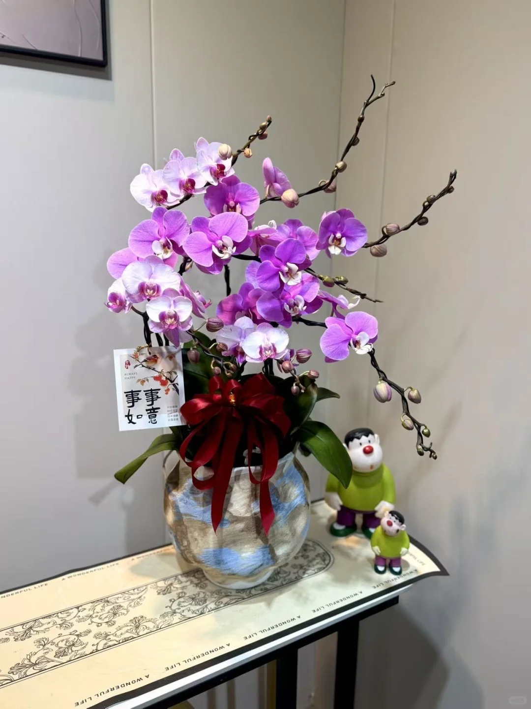 怎么会有这么美的兰花！