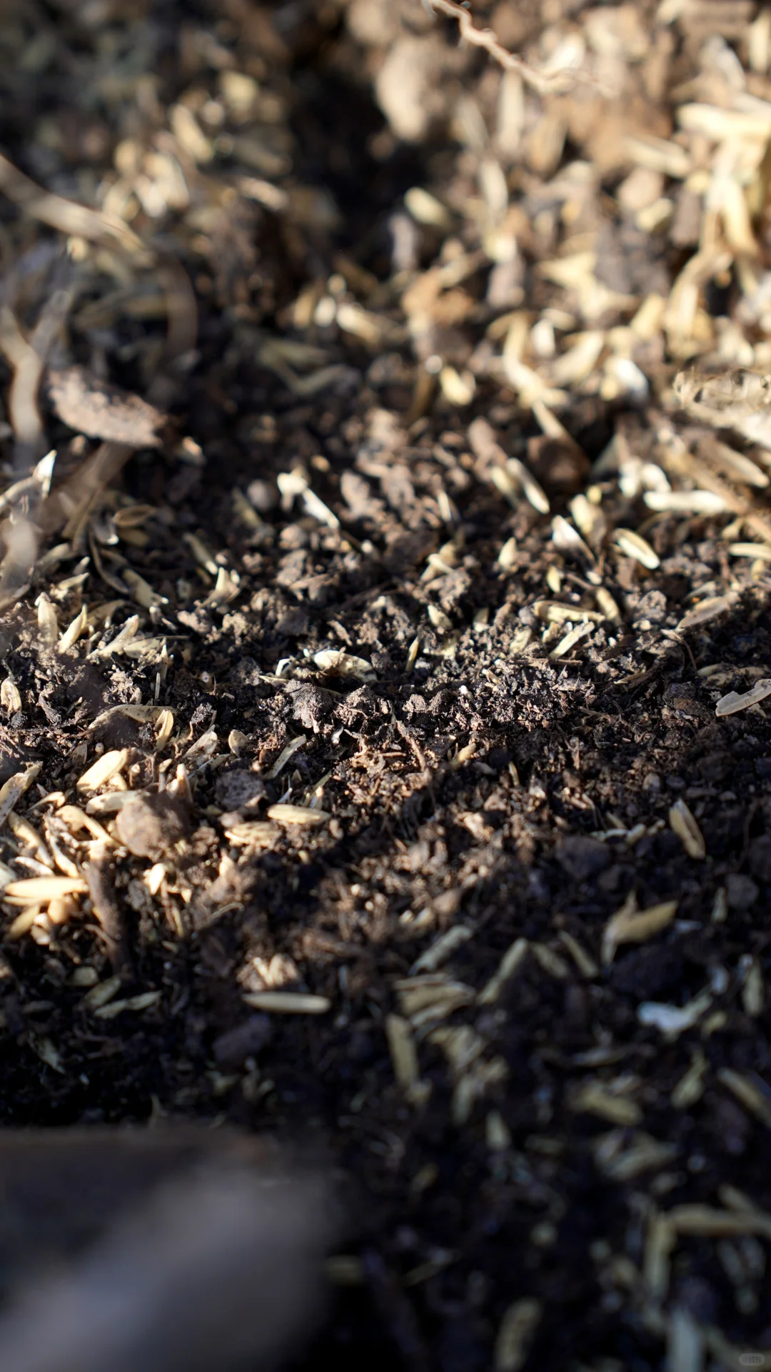 酵素的制作与土壤的快速改良。